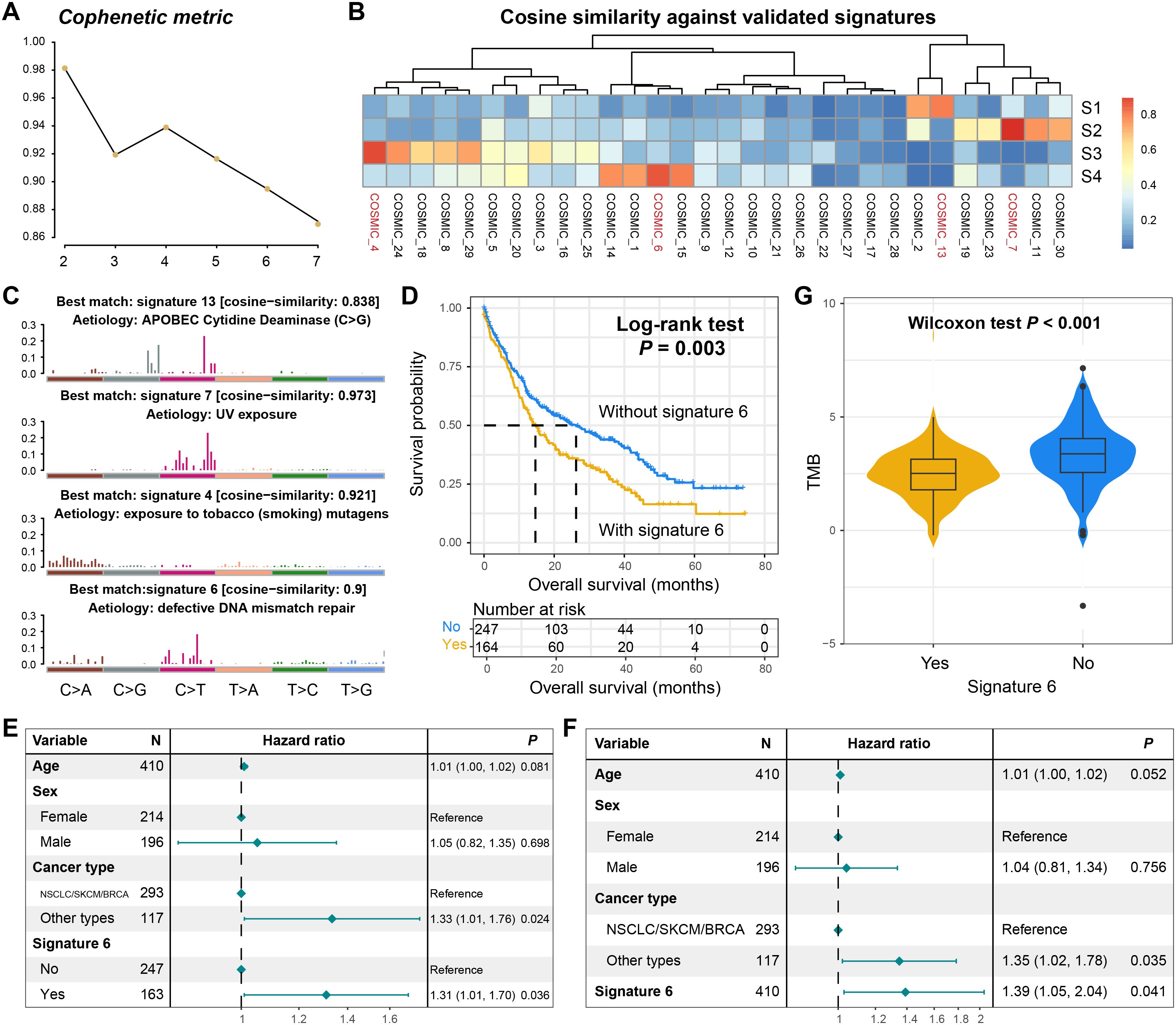 A multi-panel scientific figure includes: A) Line graph of cophenetic metric across values; B) Heatmap showing cosine similarity against validated signatures; C) Histograms with cosine similarity and aetiology notes for four best matches; D) Kaplan-Meier plot comparing survival probabilities with and without signature six, log-rank test P = 0.003; E) Forest plot for hazard ratio of variables such as age, sex, cancer type, and signature six; F) Hazard ratio data; G) Violin plot of tumor mutation burden (TMB) with Wilcoxon test P < 0.001 comparing signature six presence and absence.