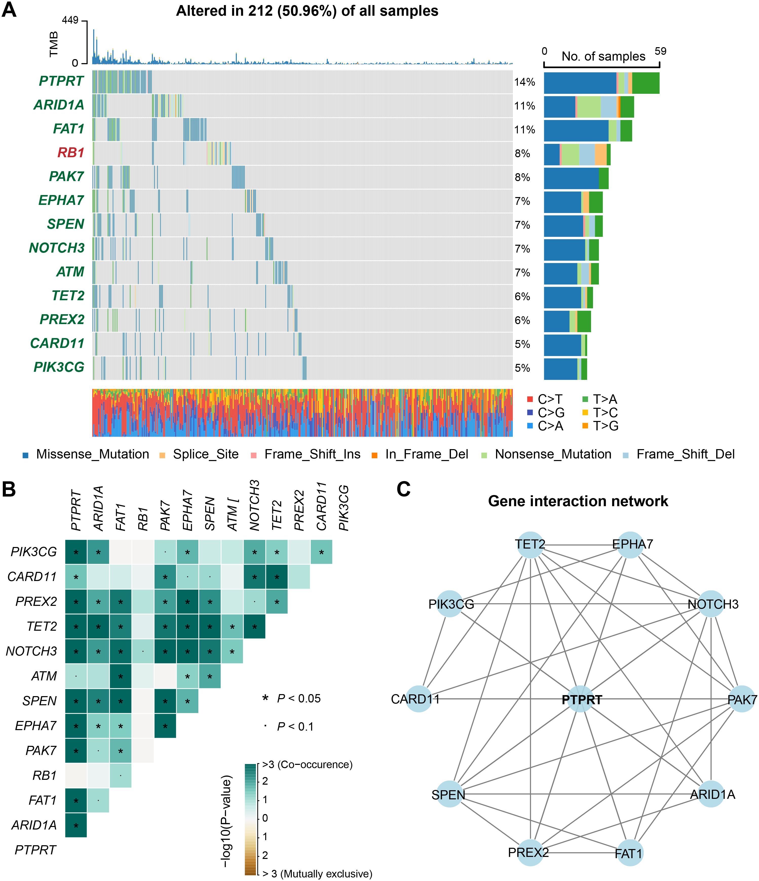 Panel A shows the alteration distribution of specific genes in 212 out of 416 samples, with mutation types color-coded. Panel B displays a heatmap illustrating gene interaction significance using p-values. Panel C presents a gene interaction network diagram, depicting connections among genes like PIK3CG, CARD11, and PTPRT.
