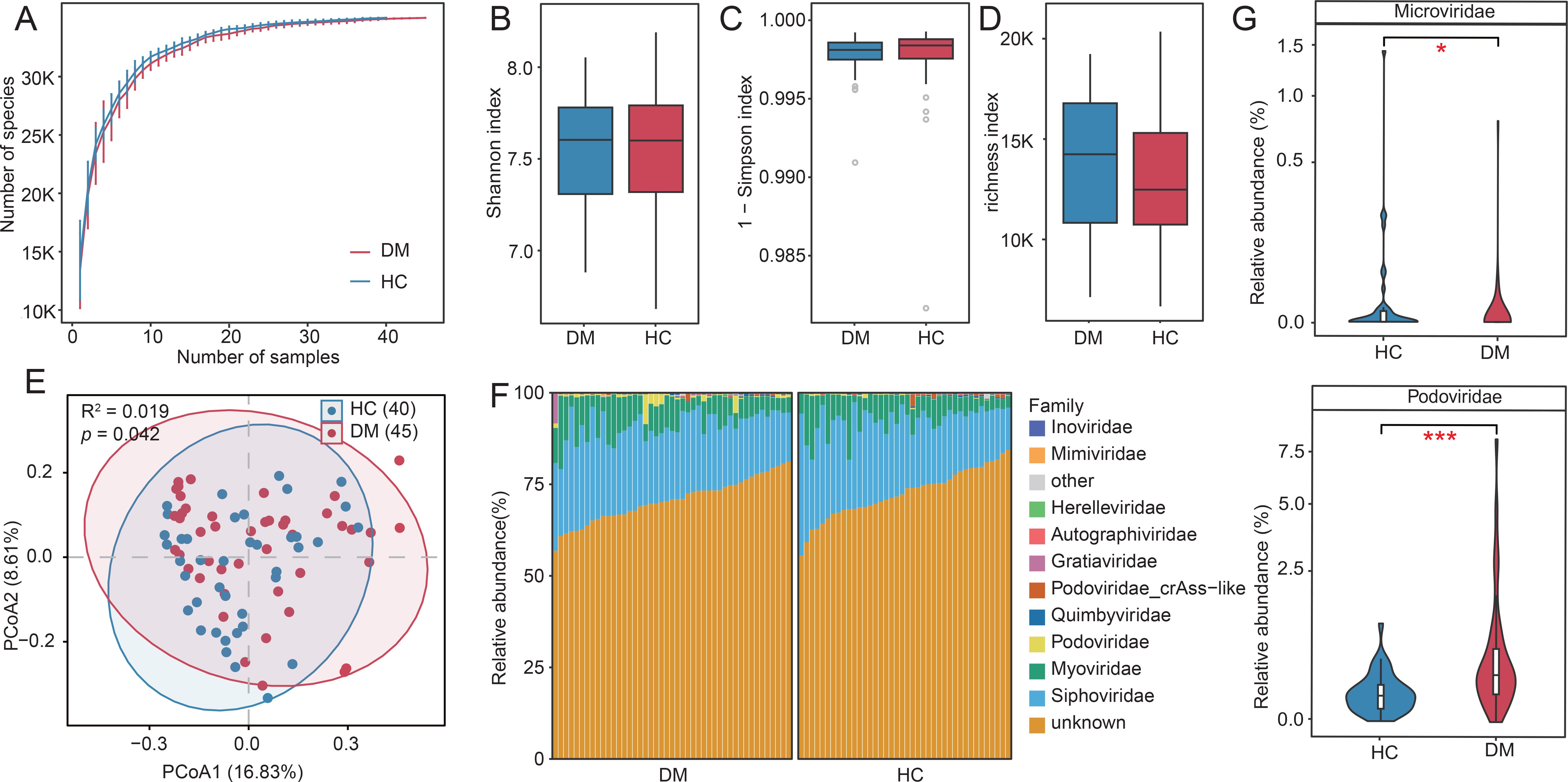 A series of charts comparing microbiome diversity and abundance between diabetic (DM) and healthy control (HC) groups. Panel A shows species accumulation curves; B, C, D display box plots of Shannon, Simpson, and richness indices respectively. Panel E is a PCoA plot showing sample clustering; F demonstrates relative abundance of viral families stacked bar charts; G has violin plots showing significant differences in relative abundance of Microviridae and Podoviridae between the groups.