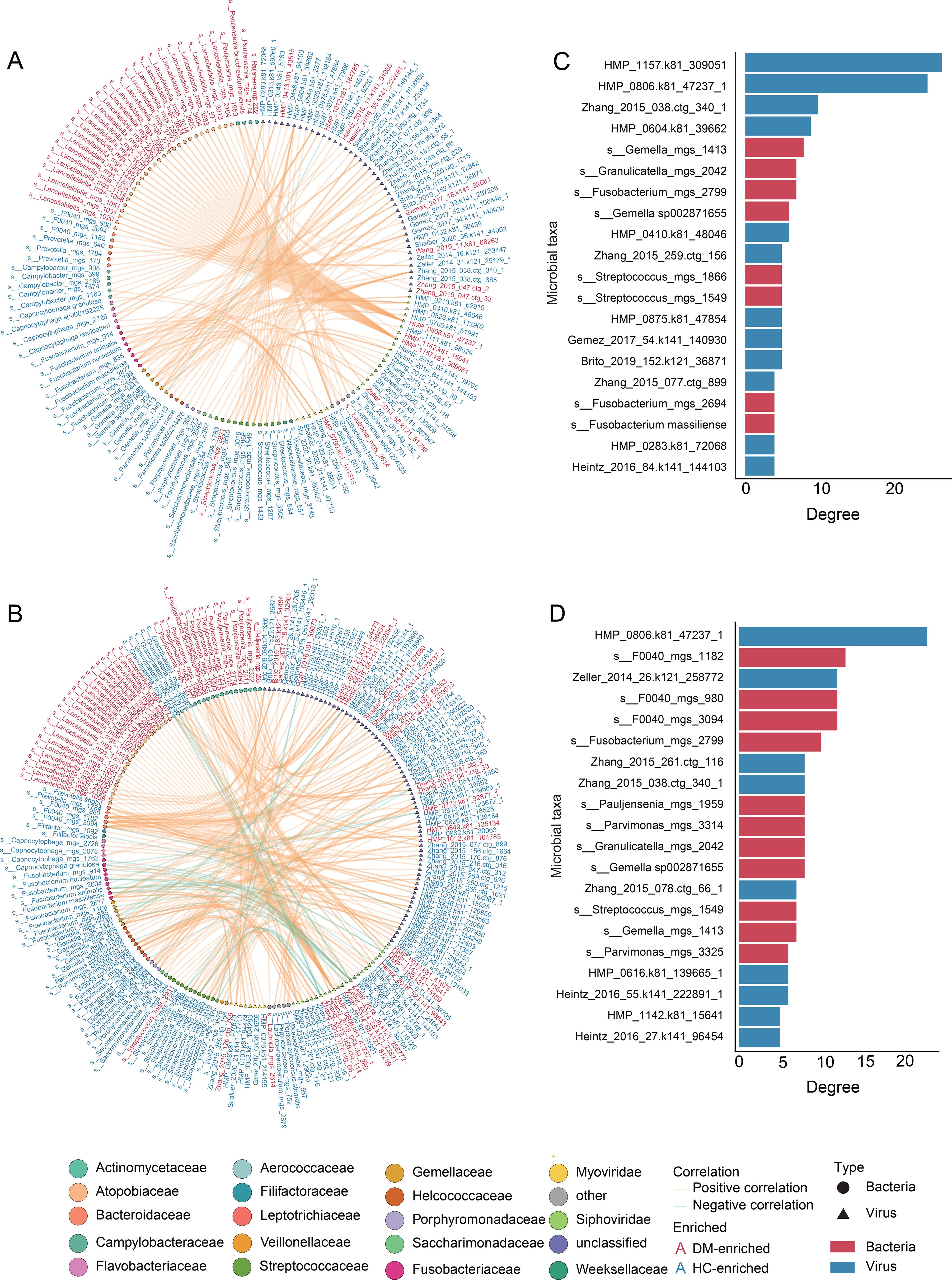 Circular and bar graphs show relationships among various bacterial families and viruses, with color-coded correlations and enrichments. Panels A and B depict complex networks with nodes labeled in blue and red, and orange lines indicating connections. Panels C and D present bar charts ranked by degree on the x-axis. The legend details family types and correlation/enrichment indicators.