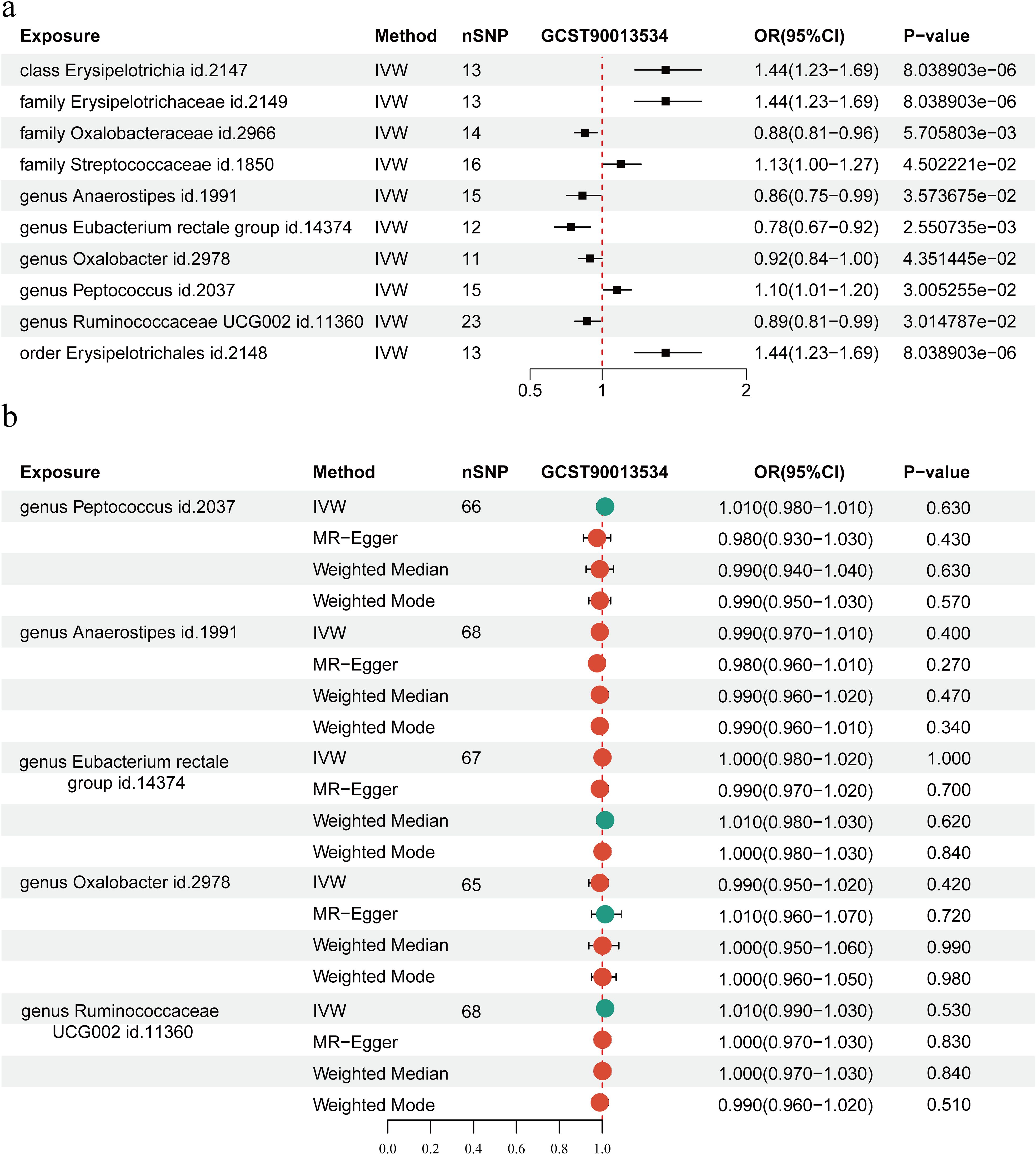 Two panels present forest plots comparing microbial exposures against GCST90013534 using different methods. Panel (a) shows exposures such as class Erysipelotrichia, with IVW methods, number of SNPs, and odds ratios ranging from 0.78 to 1.44 with their confidence intervals and p-values. Panel (b) displays similar analyses for different genera like Peptococcus and Anaerostipes, with multiple methods including MR–Egger and weighted median. Confidence intervals and odds ratios are visualized, along with corresponding p-values, indicating the statistical significance of the associations.