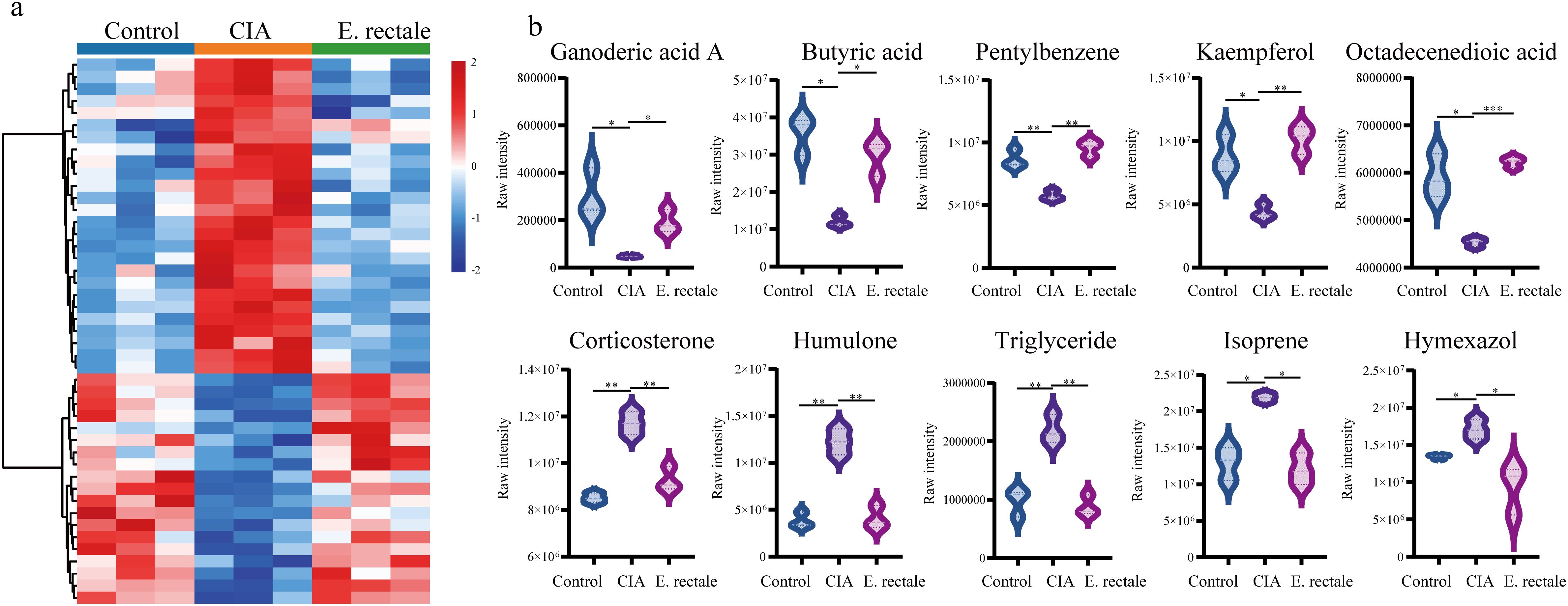 Composite image featuring two panels. Panel a displays a heat map comparing Control, CIA, and E. rectale groups, with a color scale indicating intensity from blue to red. Panel b contains violin plots for various substances, including Ganoderic acid A, Butyric acid, and others, showing raw intensity across Control, CIA, and E. rectale groups. Statistical significance is noted with asterisks.