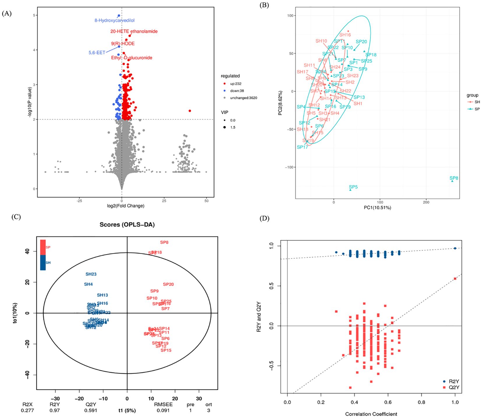(A) Volcano plot showing significant upregulated and downregulated metabolites with labels like 8-Hydroxycayeolide. (B) PCA scatter plot distinguishing groups SP and SH. (C) OPLS-DA score plot differentiating sample clusters. (D) Validation plot with correlation coefficients for R2Y and Q2Y, indicating model reliability.