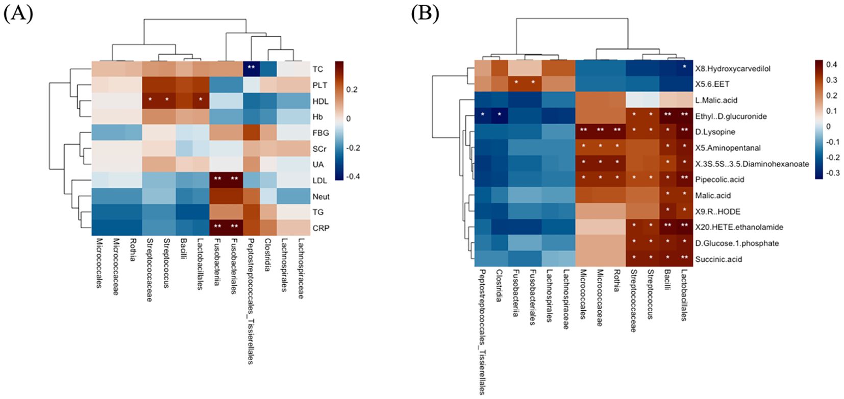 Two heatmaps labeled A and B present correlations between different bacterial groups and biochemical markers. Each map uses a color gradient from blue to red, indicating negative to positive correlations, with intensity reflecting correlation strength. Labels along the axes correspond to bacterial groups and biochemical markers. Significant correlations are marked with asterisks. A dendrogram above each heatmap suggests hierarchical clustering.