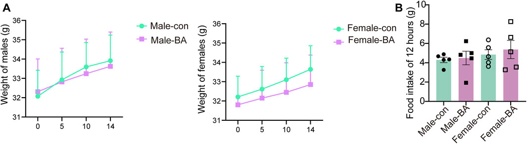 Graph A shows male and female weight changes over 14 days with two groups: control (con) and BA. Male and female control groups have higher weight increases than BA groups. Graph B illustrates average 12-hour food intake for these groups, with female BA showing the highest intake. Error bars indicate variability.