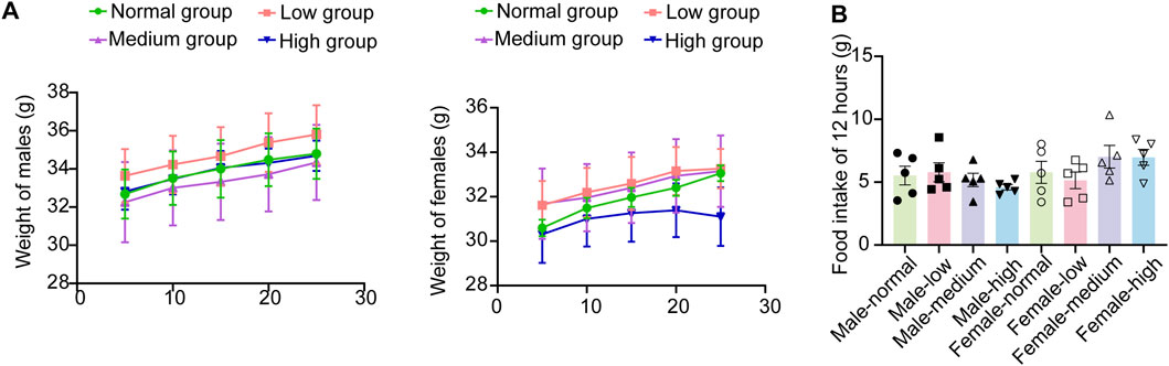 Two graphs depict data on weight changes and food intake in different experimental groups. Graph A shows weight changes over time for males and females in Normal, Low, Medium, and High groups. Males weigh between 32 and 36 grams, while females weigh between 30 and 34 grams. Graph B is a bar chart illustrating food intake over 12 hours for male and female groups categorized as normal, low, medium, and high, with intakes ranging from 0 to 15 grams.