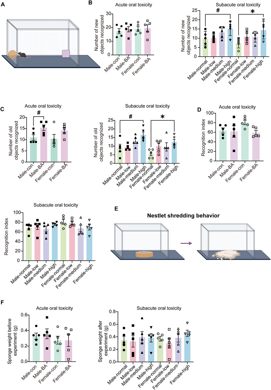 A series of panels depicting experiments and results on oral toxicity and behavior in an animal model. Panel A shows a diagram of a rodent in a cage with objects. Panel B features bar graphs for the number of new objects recognized in acute and subacute oral toxicity studies, showing varying performances between male and female subjects. Panel C presents graphs on the number of old objects recognized. Panel D displays recognition index results for acute oral toxicity. Panel E illustrates nestlet shredding behavior before and after. Panel F shows graphs of sponge weight before and after oral toxicity experiments.