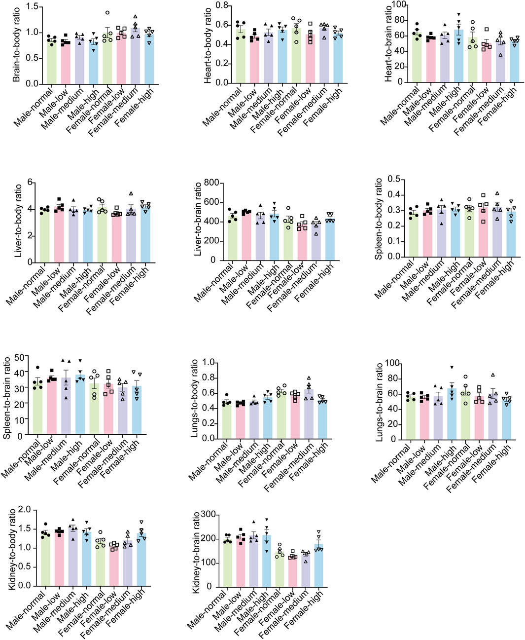 Twelve bar charts compare various organ-to-body and organ-to-brain ratios across categories: male-normal, male-low, male-medium, male-high, female-normal, female-low, female-medium, and female-high. Each chart focuses on a different organ: brain, heart, liver, spleen, lungs, and kidneys. Data points are marked with different symbols above the bars, indicating sample measurements.