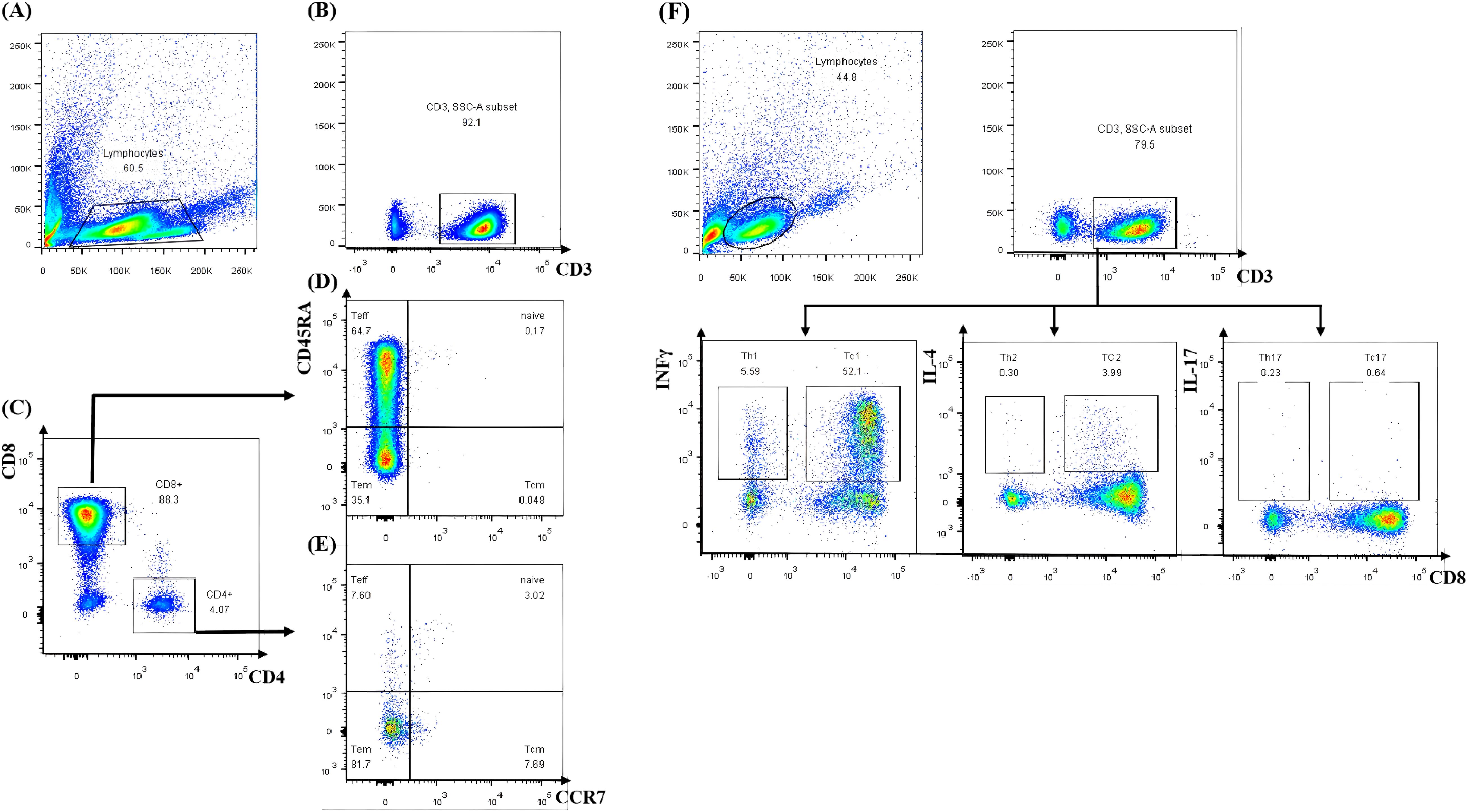 Flow cytometry plots showing lymphocyte distribution and subsets. Panels A and H display lymphocyte scatter, with percentages marked. Panels B and C show the CD3, CD4, and CD8 subsets. Panels D and E depict differentiation with markers CD45RA and CCR7. Further panels detail subsets characterized by INFγ, IL-4, and IL-17 expression. Specific cell populations, such as Th1, Th2, Th17, Tc1, Tc2, and Tc17, are identified with corresponding percentages in each plot.