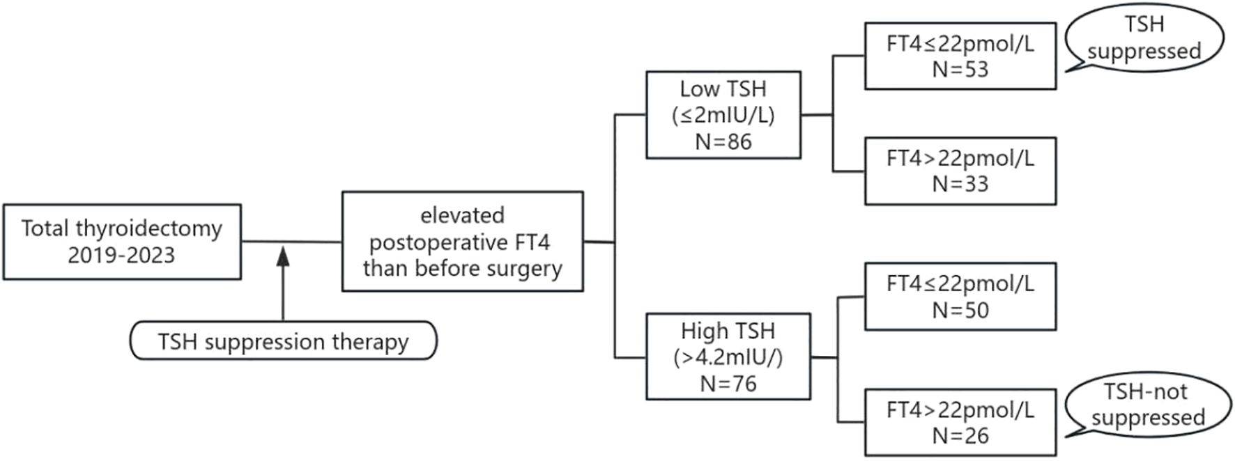 Flowchart depicting patients who underwent total thyroidectomyfrom 2019 to 2023. second sentence should be replaced to : TSH suppression therapy leads to postoperative elevation in FT4. Patients are divided by TSH levels; 86 with low TSH and 76 with high TSH. Low TSH is further split into 53 with FT4 ≤ 22 pmol/L, labeled “TSH suppressed,” and 33 with FT4 >22 pmol/L. High TSH includes 50 with FT4 ≤ 22 pmol/L and 26 with FT4 > 22 pmol/L, marked “TSH-not suppressed.