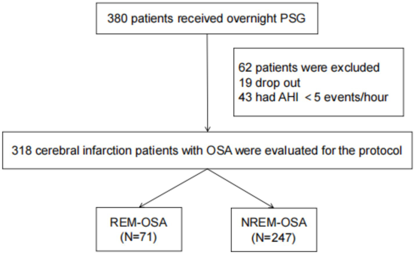 Flowchart showing patient selection for a study. Three hundred eighty patients received overnight polysomnography (PSG). Sixty-two patients were excluded: nineteen dropped out, and forty-three had an apnea-hypopnea index (AHI) of less than five events per hour. Three hundred eighteen cerebral infarction patients with obstructive sleep apnea (OSA) were evaluated. These were divided into seventy-one with REM-OSA and two hundred forty-seven with NREM-OSA.
