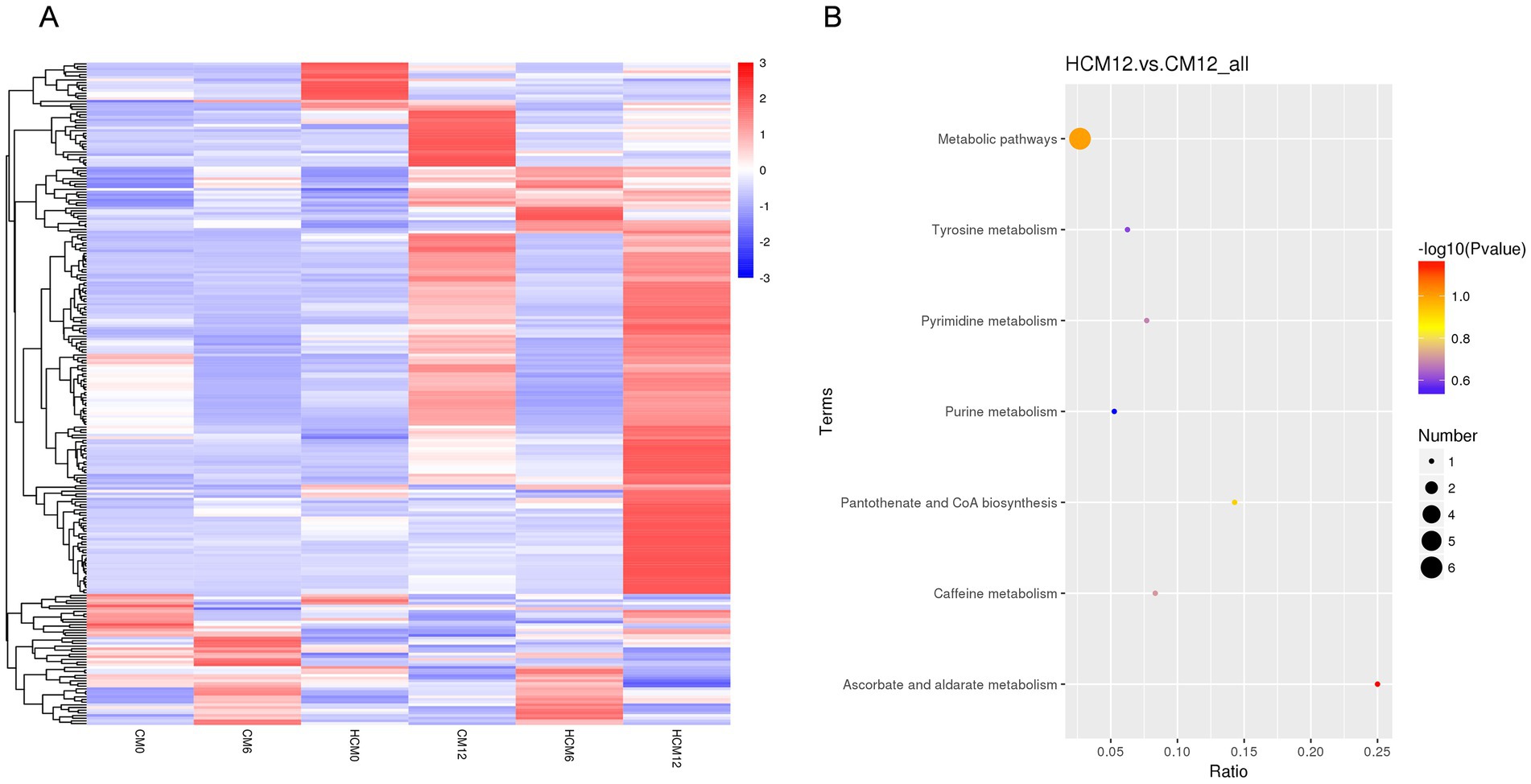 Panel A shows a heatmap of gene expression across different conditions, with color gradients from blue to red indicating expression levels. Panel B presents a dot plot illustrating enriched metabolic pathways with terms like