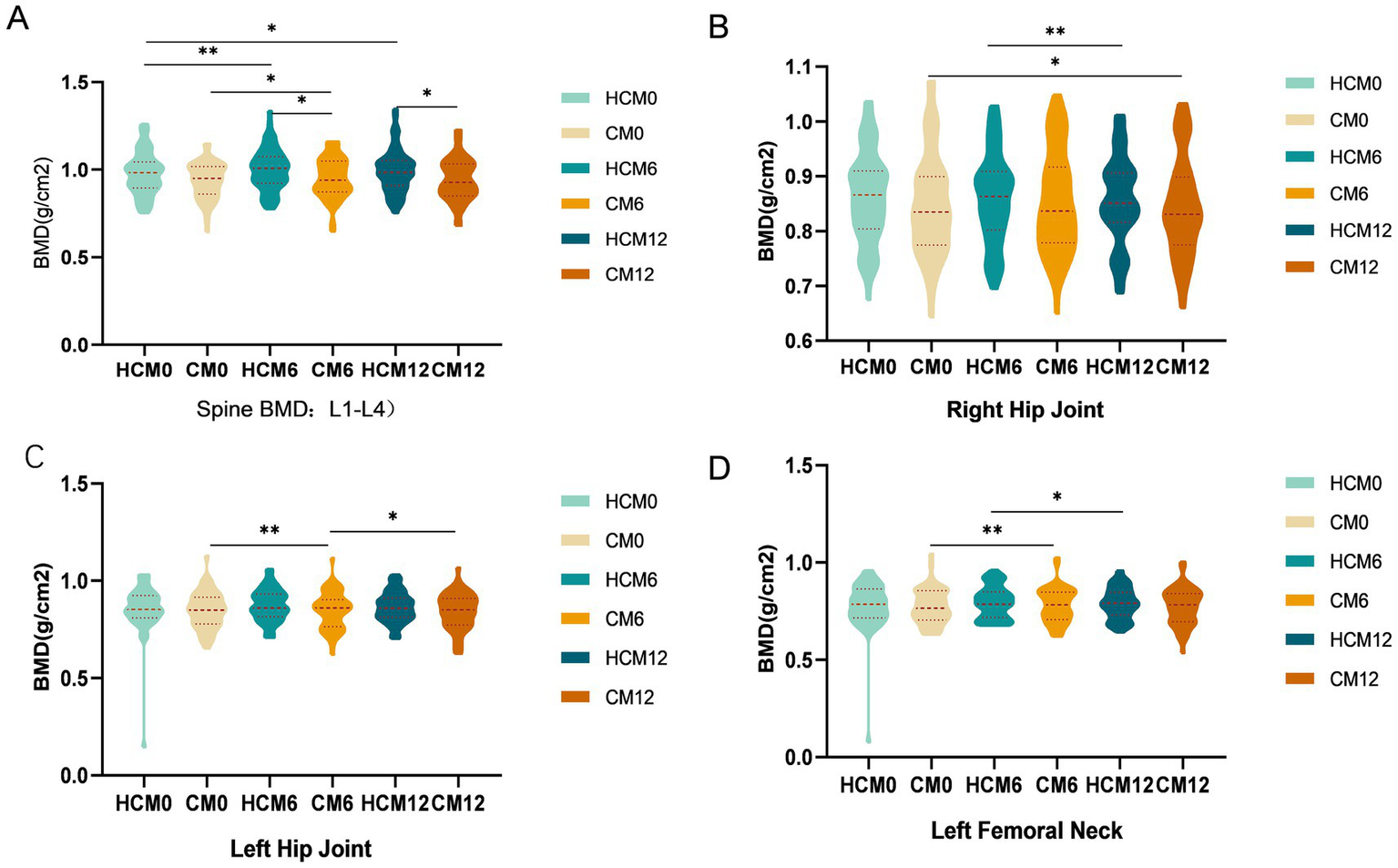 Violin plots showing bone mineral density (BMD) comparisons across different groups (HCM0, CM0, HCM6, CM6, HCM12, CM12) for four body sites: Spine (L1-L4), Right Hip Joint, Left Hip Joint, and Left Femoral Neck. Each plot highlights statistical significance with asterisks indicating differences between groups. The color-coded legend associates each group with specific colors for clarity.