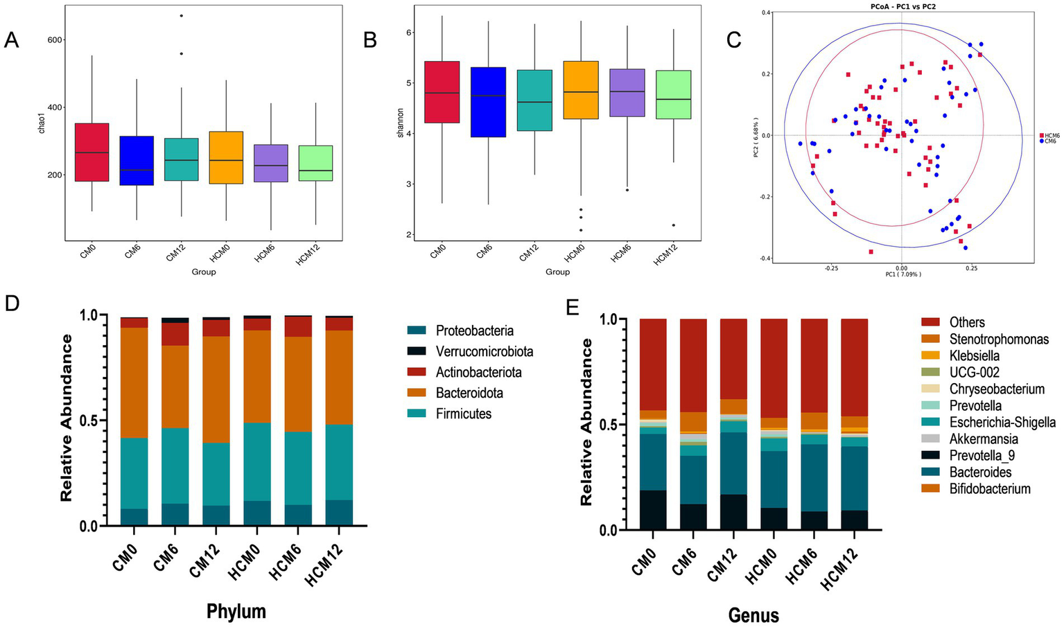 Box plots A and B show chao1 and shannon indices across groups CM0, CM6, CM12, HCM0, HCM6, and HCM12, indicating microbial diversity. Plot C is a PCoA chart of PC1 versus PC2 with red and blue clusters representing groups HCM6 and CM6. Bar charts D and E illustrate relative abundance of microbial phyla and genera, respectively, across the same groups with color-coded legends for specific taxa.