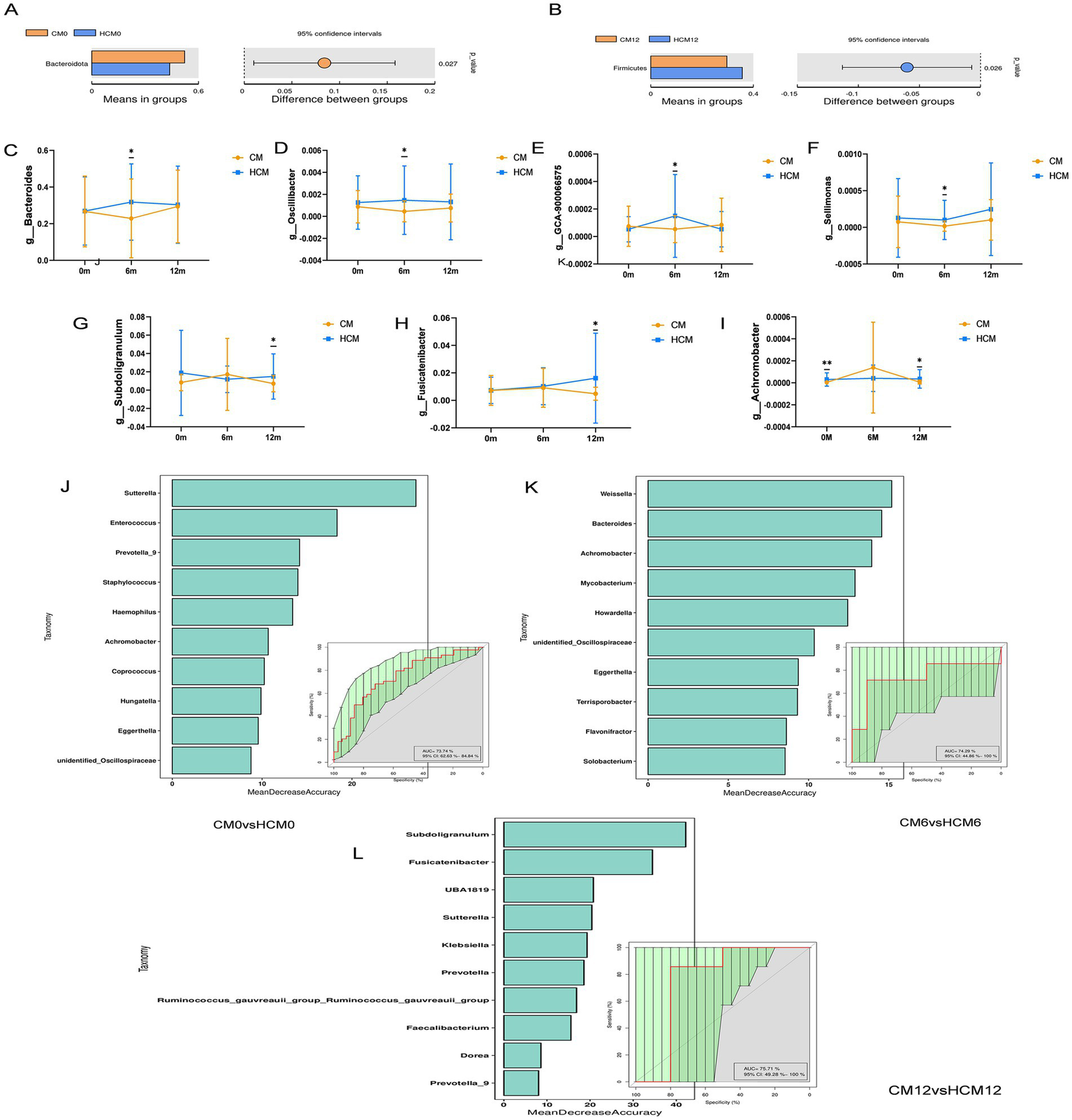 Graphs and charts comparing microbiome compositions between CM and HCM groups. Panels A and B show bar charts and confidence intervals for Bacteroidetes and Firmicutes. Panels C to I display line graphs tracking various bacterial genera over time. Panels J to L exhibit bar charts with insets showing model accuracy, comparing taxonomy features between CM and HCM at different times.