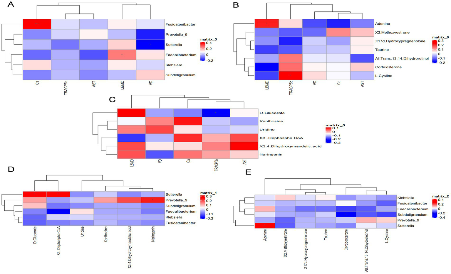 Clustered heatmaps labeled A to E display metabolite and bacterial associations. Heatmap A shows associations of bacteria with various conditions. B shows the relation of metabolites under different conditions. C to E present similar associations, with each heatmap featuring a color gradient from red to blue indicating positive to negative correlations. Each heatmap includes a legend for reading correlation values.