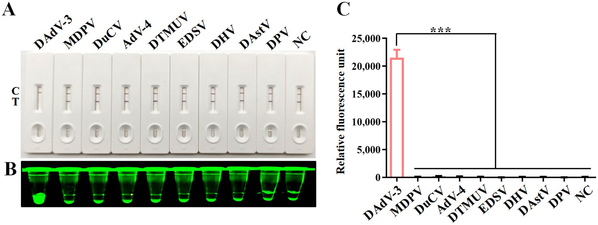 Panel A shows a series of test strips labeled DAdV-3, MDPV, DuCV, AdV-4, DTMUV, EDSV, DHV, DAstV, DPV, and NC, each with control and test lines. Panel B displays green fluorescence in corresponding test tubes. Panel C presents a bar graph of relative fluorescence units, with DAdV-3 showing significantly higher fluorescence compared to others, marked with three asterisks.