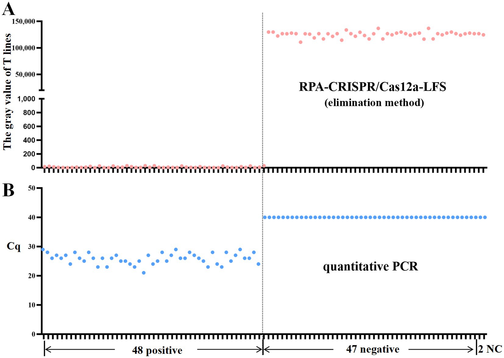 Two graphs depict diagnostic methods: A) RPA-CRISPR/Cas12a-LFS shows the gray value of T lines with consistent low readings for 48 positive samples, higher for 47 negative, and 2 NC samples. B) Quantitative PCR displays Cq values varying around 30 for 48 positive samples, consistent low values for negatives, indicating reliable differentiation.