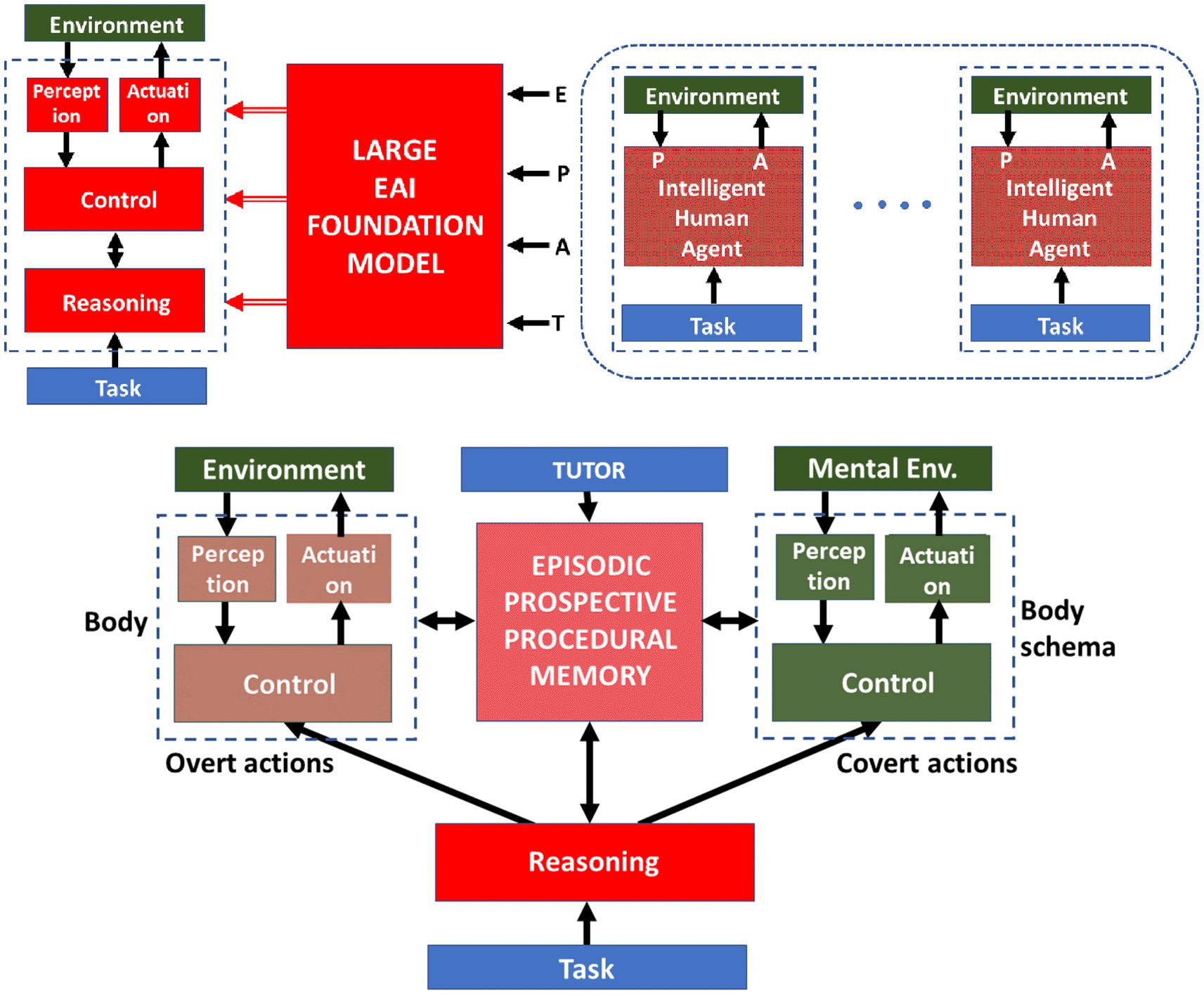 Diagram illustrating two alternative approaches for designing autonomous, intelligent, collaborative robots, i.e., cognitive agents that can transform a task description into a sequence of purposive actions while interacting with the environment through a sensorimotor loop. One approach, illustrated in the upper section, is based on a large EAI foundation model, trained by a large set of measured behaviors exhibited by intelligent but independent human experts, challenged by various tasks in various environmental conditions. The alternative bio-inspired approach (illustrated in the lower section) is based on a developmental cognitive architecture where a single human tutor helps the robot to accumulate and organize a complex memory system that enables the robot to achieve prospective capabilities by generating goal-oriented sequences of related covert and overt actions.