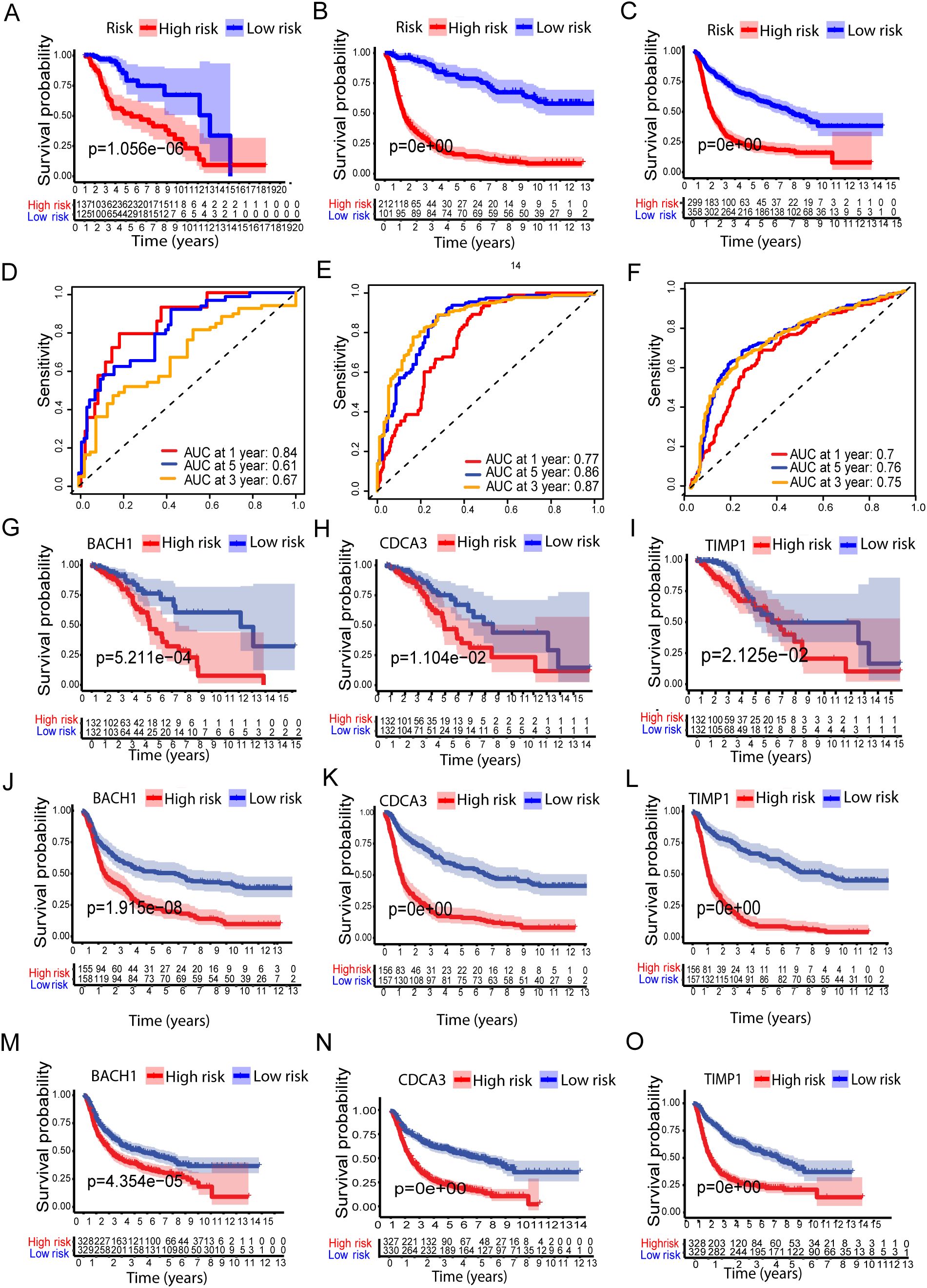 Graphs depicting survival analysis for high-risk and low-risk groups over time. Panels A-C and G-O show survival probability with significant p-values for genes BACH1, CDCA3, and TIMP1. Panels D-F present ROC curves illustrating sensitivity with AUC values at different time points. High-risk is represented in red, low-risk in blue.