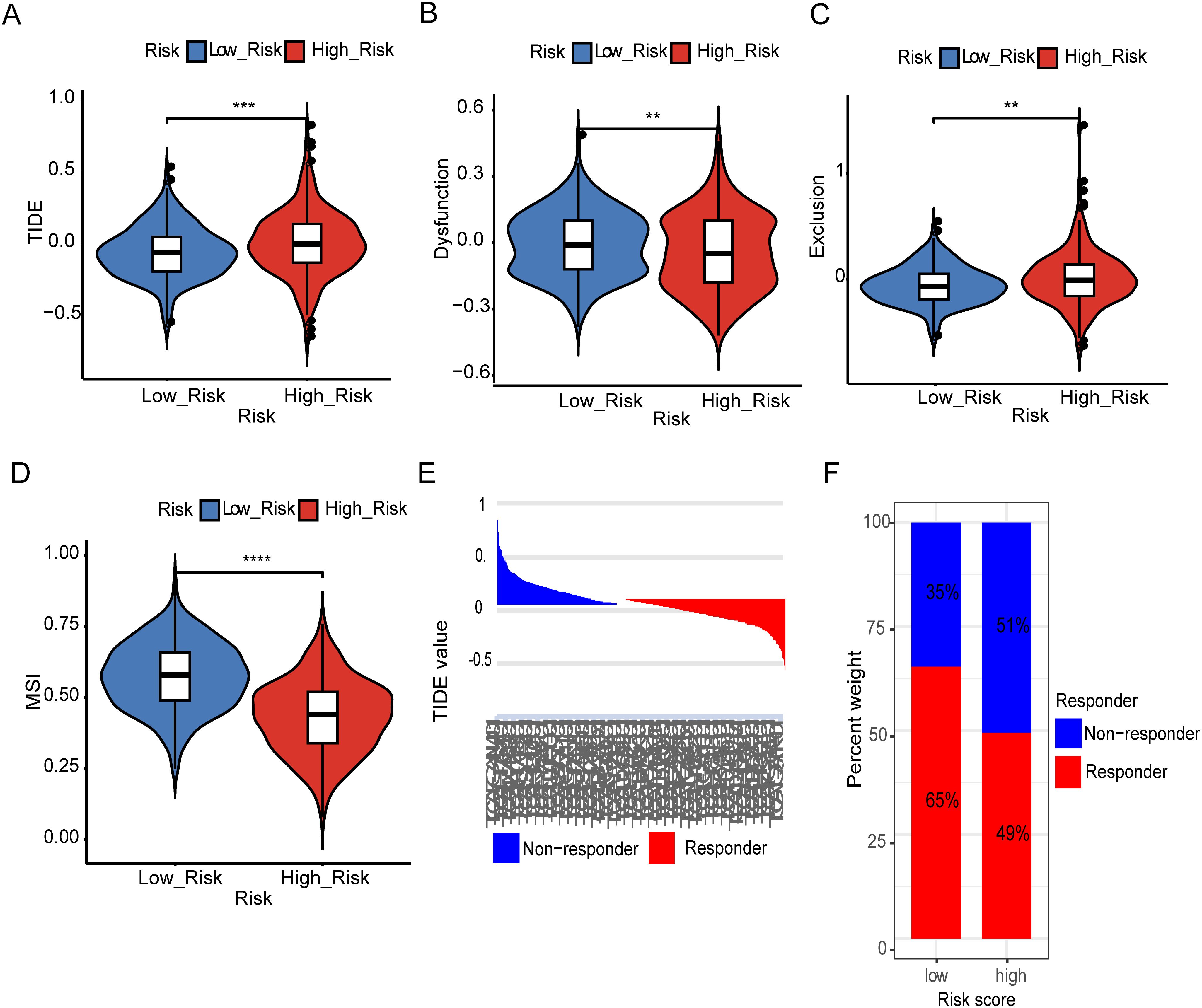 Chart with six panels analyzing risk and response data. Panel A shows TIDE scores for Low and High Risk groups with a significant difference. Panel B illustrates dysfunction values differing between risk levels. Panel C depicts exclusion scores, also different between groups. Panel D shows MSI differences by risk group, with significant variation. Panel E presents a TIDE value distribution distinguishing responders from non-responders. Panel F compares percentage weight of responders versus non-responders in Low and High risk scores, indicating higher non-response in Low Risk and higher response in High Risk.