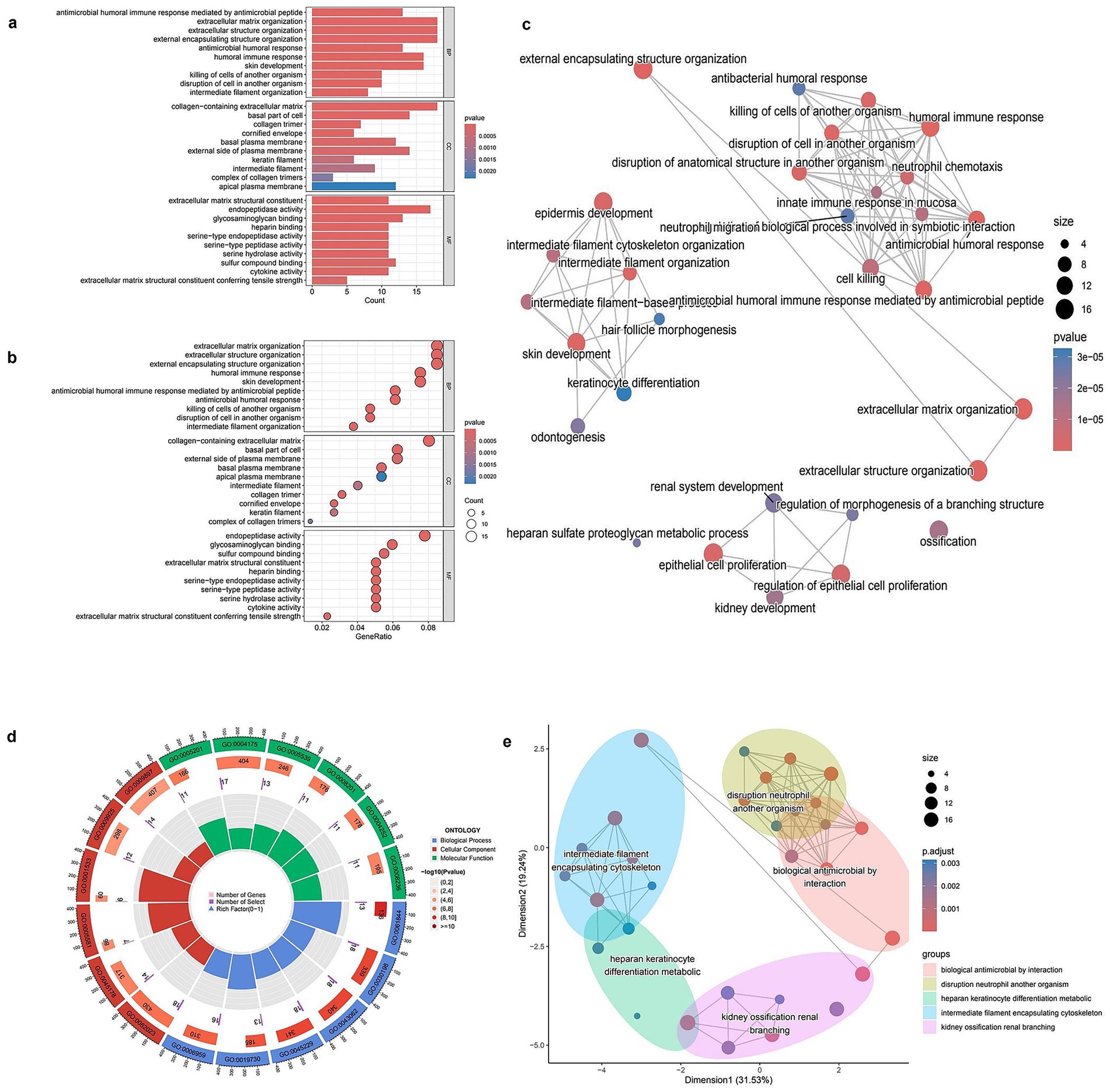 Grouped images display various data visualizations related to gene ontology and biological processes. a) Bar chart showing counts of different biological processes with color indicating p-values. b) Bubble chart with GeneRatio on the x-axis and process categories, where bubble size denotes count and color the p-value. c) Network diagram illustrating linked biological processes, with node size and color representing significance. d) Circular diagram displaying gene ontology categories differentiated by color, with data labels around concentric circles. e) Scatter plot with clusters of related terms, showing dimension values and significance through point size and color.