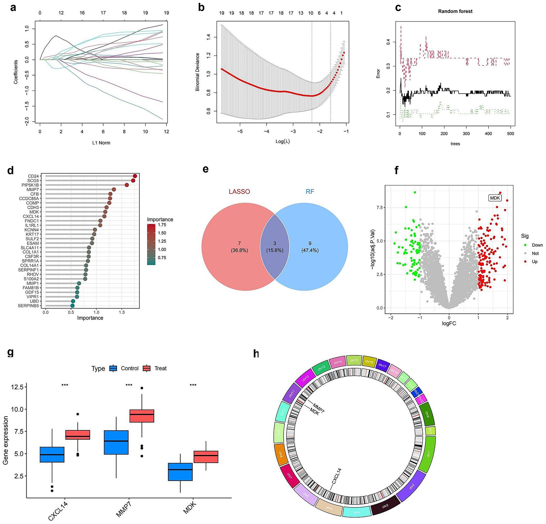 Panel of eight graphs depicting statistical and data analysis:a) Line plot showing coefficient paths in a Lasso regression.b) Plot of binomial deviance versus log lambda in a Lasso model.c) Error rate versus the number of trees in a random forest model.d) Bar chart ranking features by importance.e) Venn diagram showing overlap between Lasso and random forest selected features.f) Volcano plot with gene expression data indicating significance.g) Box plot comparing gene expression in control and treated groups for CXCL14, MMP7, and MDK.h) Circular plot illustrating gene locations on chromosomes.