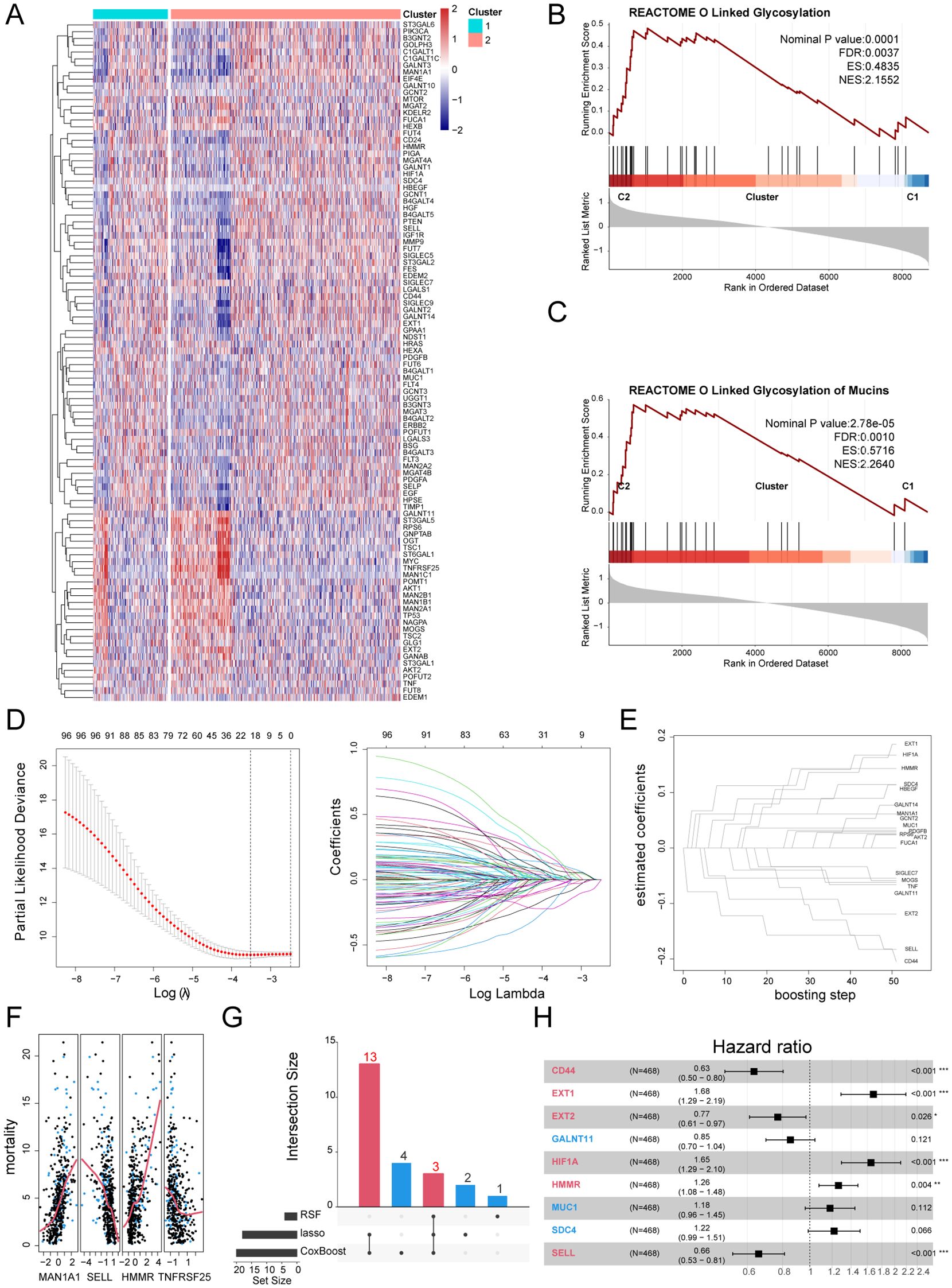 Heatmap (A) shows gene expression across two clusters. Line plots (B and C) depict Reactome O-linked glycosylation and mucins enrichment scores. Plot (D) displays partial likelihood deviance and coefficients. Chart (E) illustrates estimated coefficients with boosting steps. Scatter plot (F) relates gene expression to mortality. Bar graph (G) indicates intersection sizes across methods. Hazard ratio chart (H) presents various genes and their statistical significance.