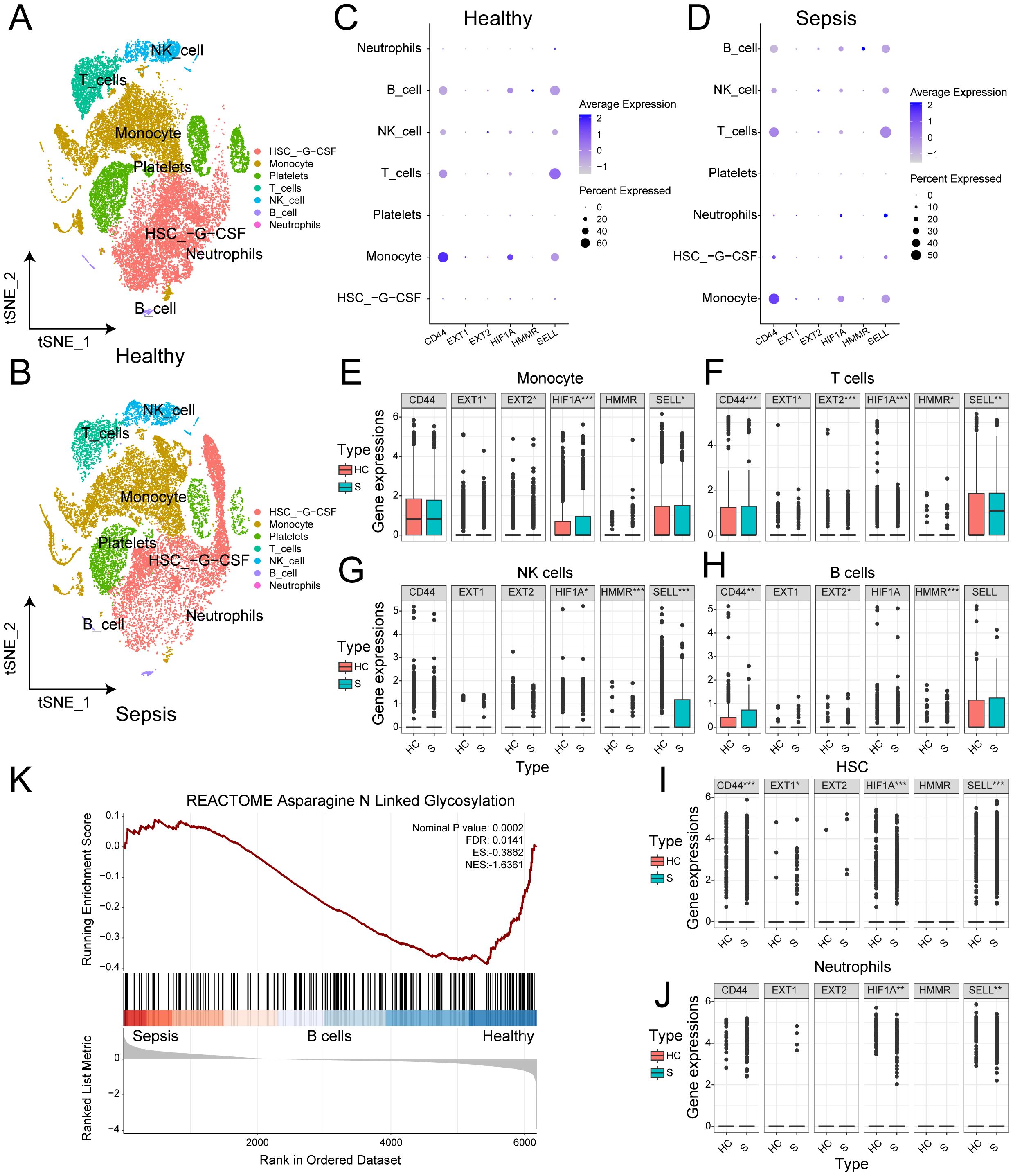 Image displaying several panels of data visualization regarding cell types and expression levels in healthy versus sepsis conditions. Panels A and B show t-SNE plots of cell clustering for healthy and sepsis samples. Panels C and D are dot plots showing average expression and percent expressed for various genes and cell types. Panels E to J are box plots indicating gene expression levels across monocytes, T cells, NK cells, B cells, HSC, and neutrophils for healthy versus sepsis conditions. Panel K is a line graph of running enrichment scores for asparagine-linked glycosylation, comparing sepsis and healthy states, with statistical annotations.
