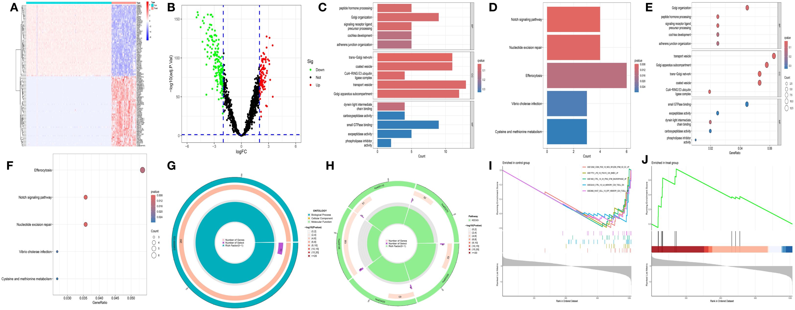 A series of data visualizations show different analyses. Panel A is a heatmap differentiating gene expression levels between two groups. Panel B is a volcano plot depicting significant upregulated (red) and downregulated (green) genes. Panels C and D are bar charts representing enriched pathways with color-coded p-values. Panels E and F display scatter plots of gene ratios and pathway counts, color-coded by significance. Panel G shows concentric circles indicating ontology distribution. Panel H is a similar circular representation categorizing pathways. Panel I is a GSEA plot highlighting enrichment in a control group, and Panel J shows enrichment in a treatment group.