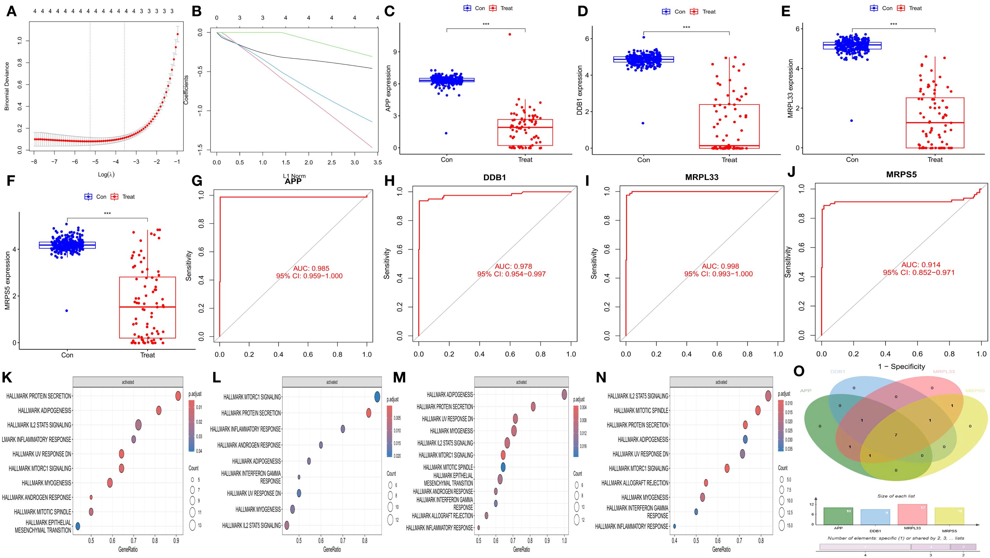 A composite image featuring multiple scientific plots and charts: (A) A graph showing binomial deviance versus the log of lambda. (B) A line plot of coefficients against the L1 norm. (C-F) Box plots comparing control and treated expression levels for APP, DDB1, MRPL33, and MRPS5, respectively. (G-J) Receiver Operating Characteristic (ROC) curves for APP, DDB1, MRPL33, and MRPS5, with AUC values. (K-N) Dot plots illustrating gene sets' significance and enrichment across different experiments. (O) A Venn diagram showing overlapping gene sets among APP, DDB1, MRPL33, and MRPS5.