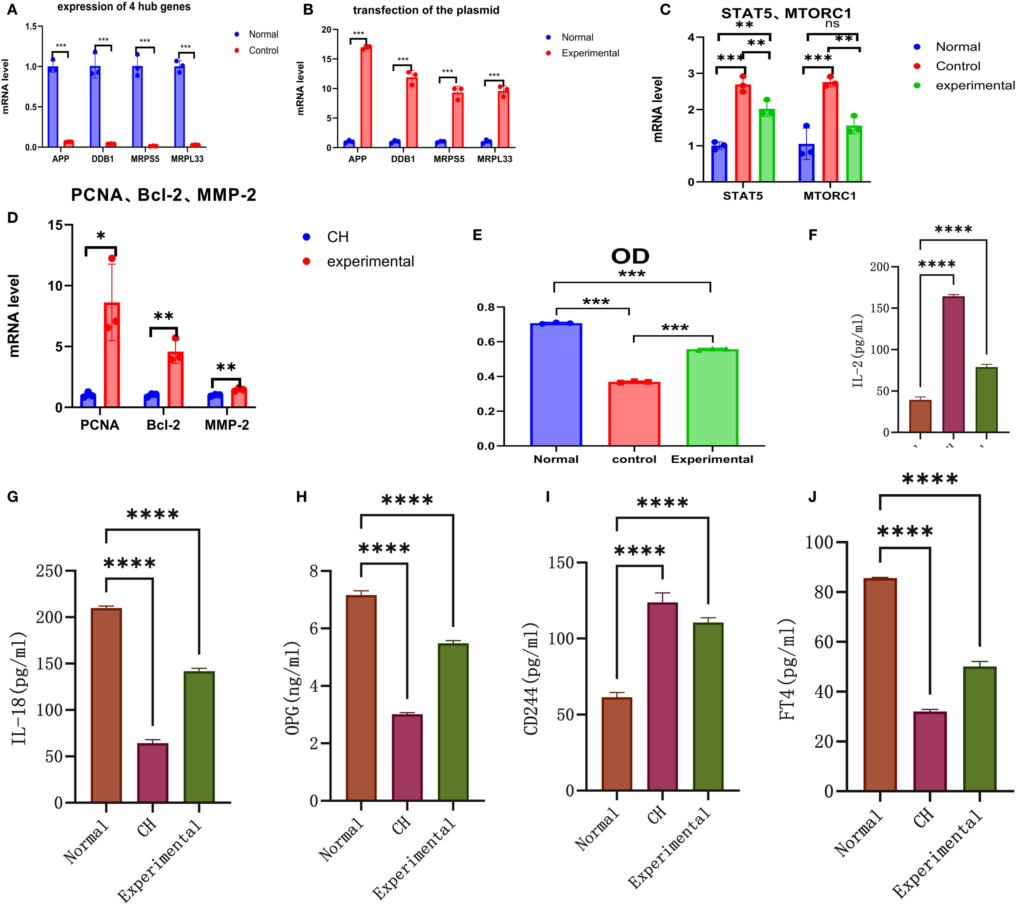 Grouped bar charts display gene and protein expression levels. Panels A-J illustrate various comparisons between normal, control, and experimental conditions, using different genes and proteins like APP, STAT5, and IL-2. Significant differences are indicated by asterisks. Each chart highlights changes in mRNA or protein levels under the diverse conditions presented.