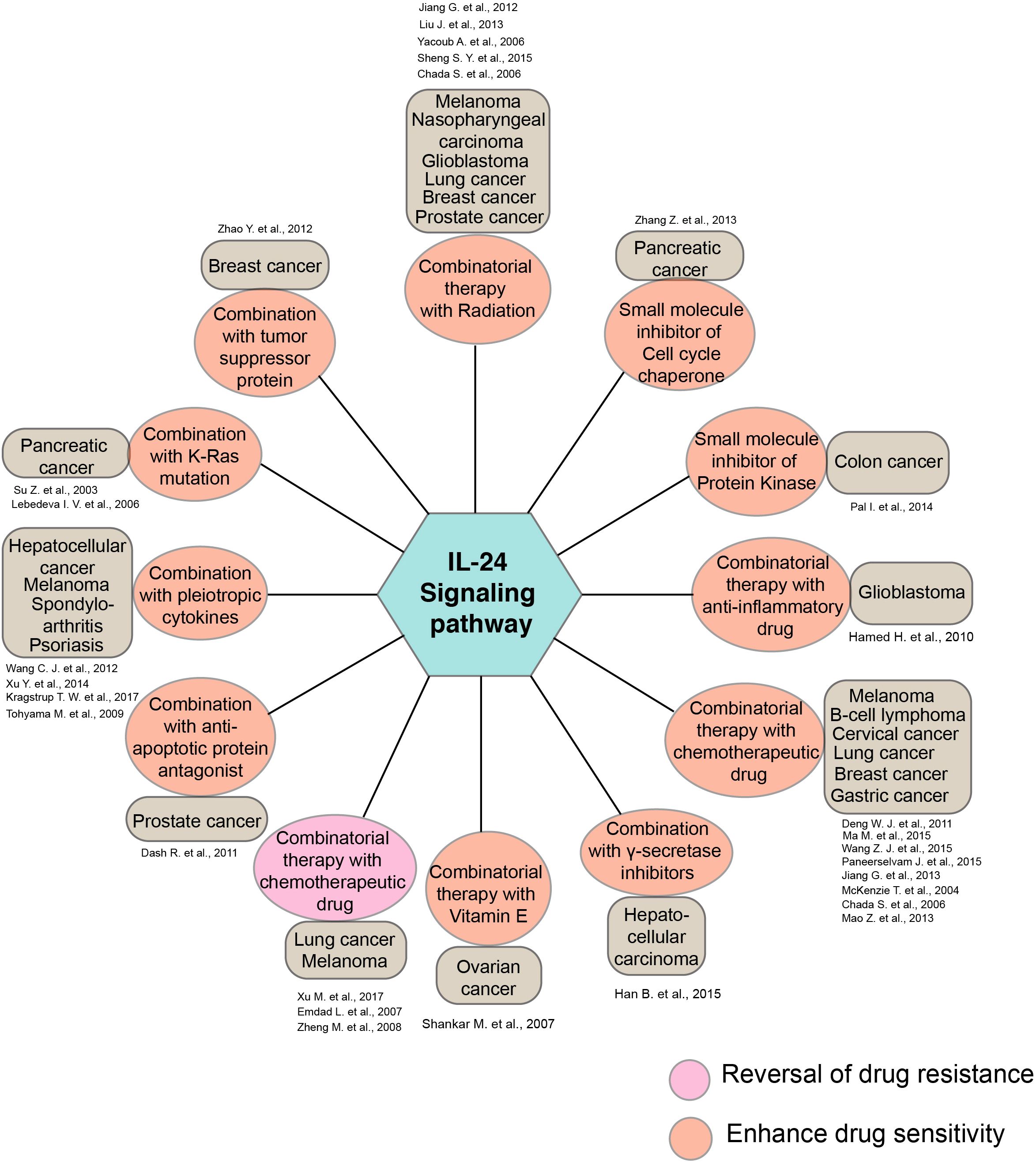 Diagram of the IL-24 signaling pathway, showing various cancer types and combinatorial therapies. Some therapies reverse drug resistance (pink) and others enhance drug sensitivity (orange). The diagram includes mentions of breast cancer, pancreatic cancer, and glioblastoma, along with treatment combinations like radiation and chemotherapeutic drugs.