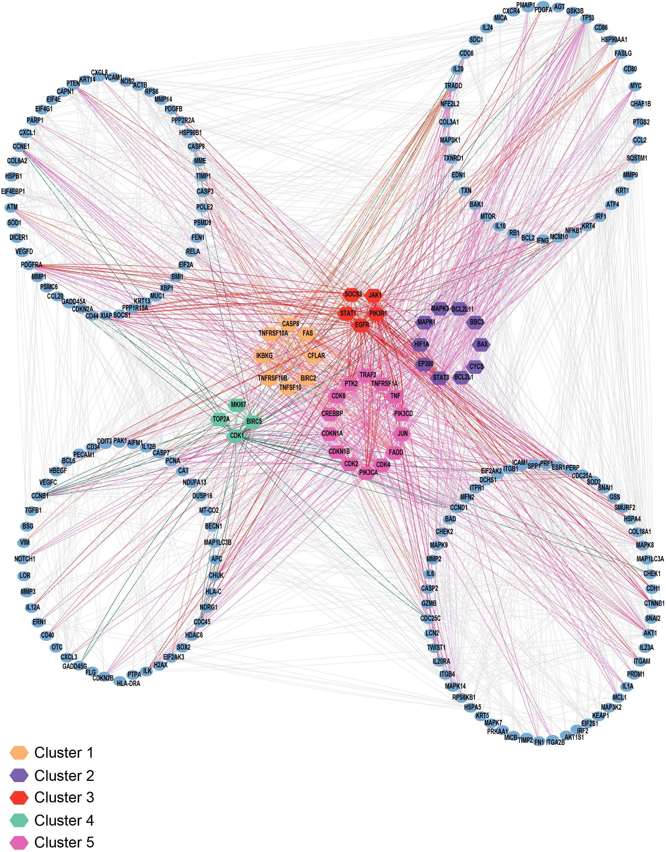 Network diagram showing five clusters of interconnected nodes, each representing different groups of elements. Clusters are color-coded: Cluster 1 in orange, Cluster 2 in purple, Cluster 3 in red, Cluster 4 in green, and Cluster 5 in blue. Various elements are connected by lines, representing relationships across the clusters.
