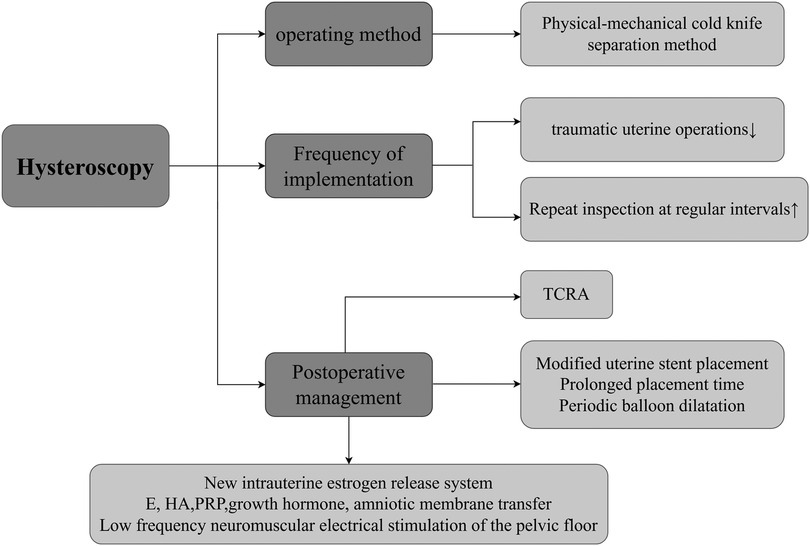 Flowchart detailing hysteroscopy procedures includes paths for operating methods, such as the physical-mechanical cold knife separation method, and frequency of implementation like traumatic uterine operations and regular inspections. Postoperative management involves TCRA, modified uterine stent placement, and further interventions, including estrogen release systems and low-frequency neuromuscular stimulation.