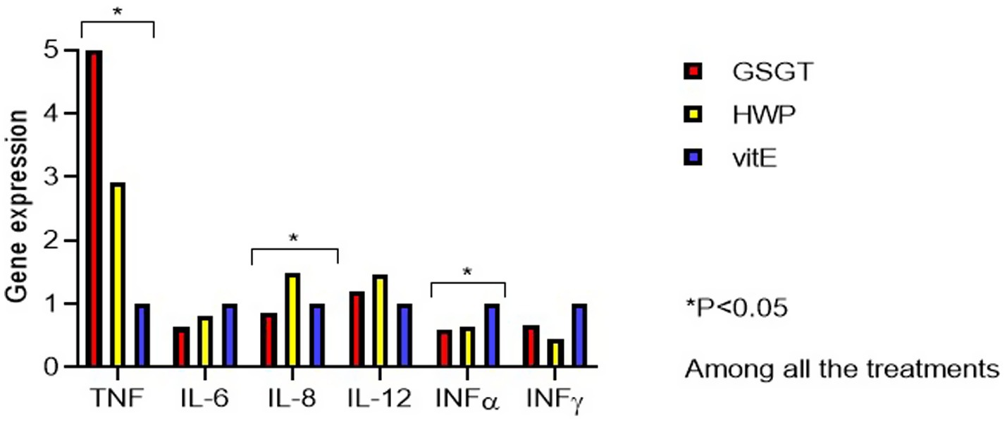 Bar graph depicting gene expression levels for TNF, IL-6, IL-8, IL-12, INFα, and INFγ across three treatments: GSGT (red), HWP (yellow), and vitE (blue). Significant differences (P < 0.05) are marked for TNF, IL-8, and INFα.