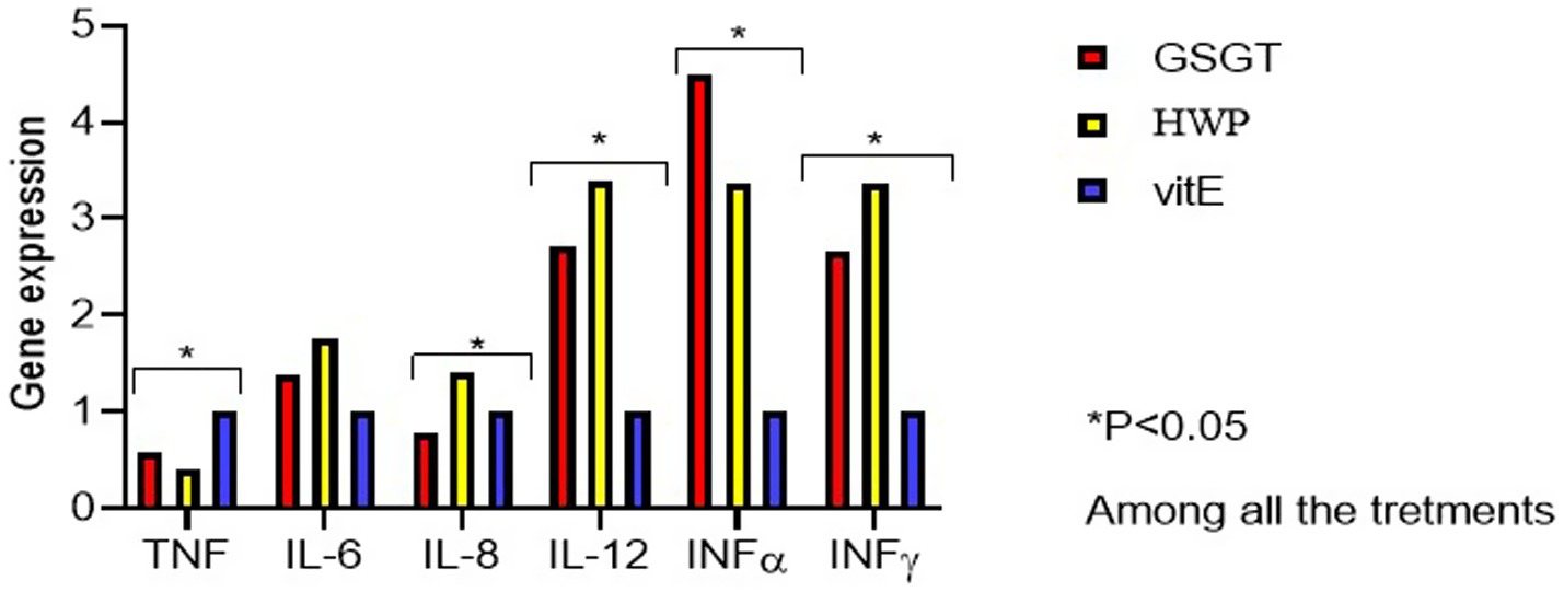 Bar graph comparing gene expression levels of TNF, IL-6, IL-8, IL-12, INFα, and INFγ across three treatments: GSGT (red), HWP (yellow), and vitE (blue). Significant differences (p < 0.05) are marked for TNF, IL-8, IL12, INFα, and INFγ.