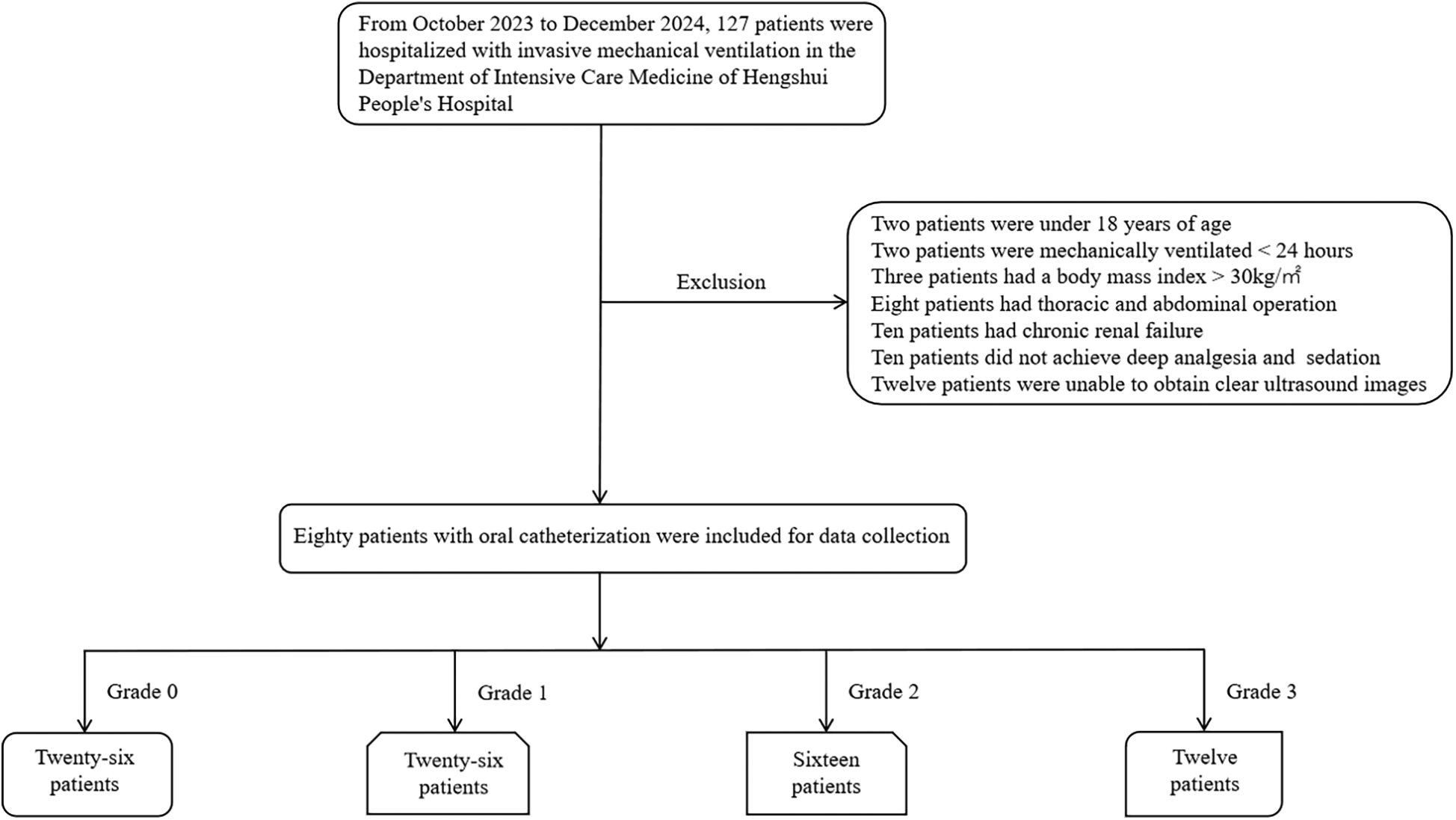 Flowchart showing patient selection for a study at Hengshui People's Hospital. From 127 patients with invasive mechanical ventilation, several exclusions led to 80 patients included for data collection. Exclusions were based on age, ventilation duration, body mass index, surgical history, renal failure, analgesia and sedation levels, and ultrasound image clarity. The 80 patients with oral catheterization were categorized into four grades: Grade 0 with 26 patients, Grade 1 with 26 patients, Grade 2 with 16 patients, and Grade 3 with 12 patients.