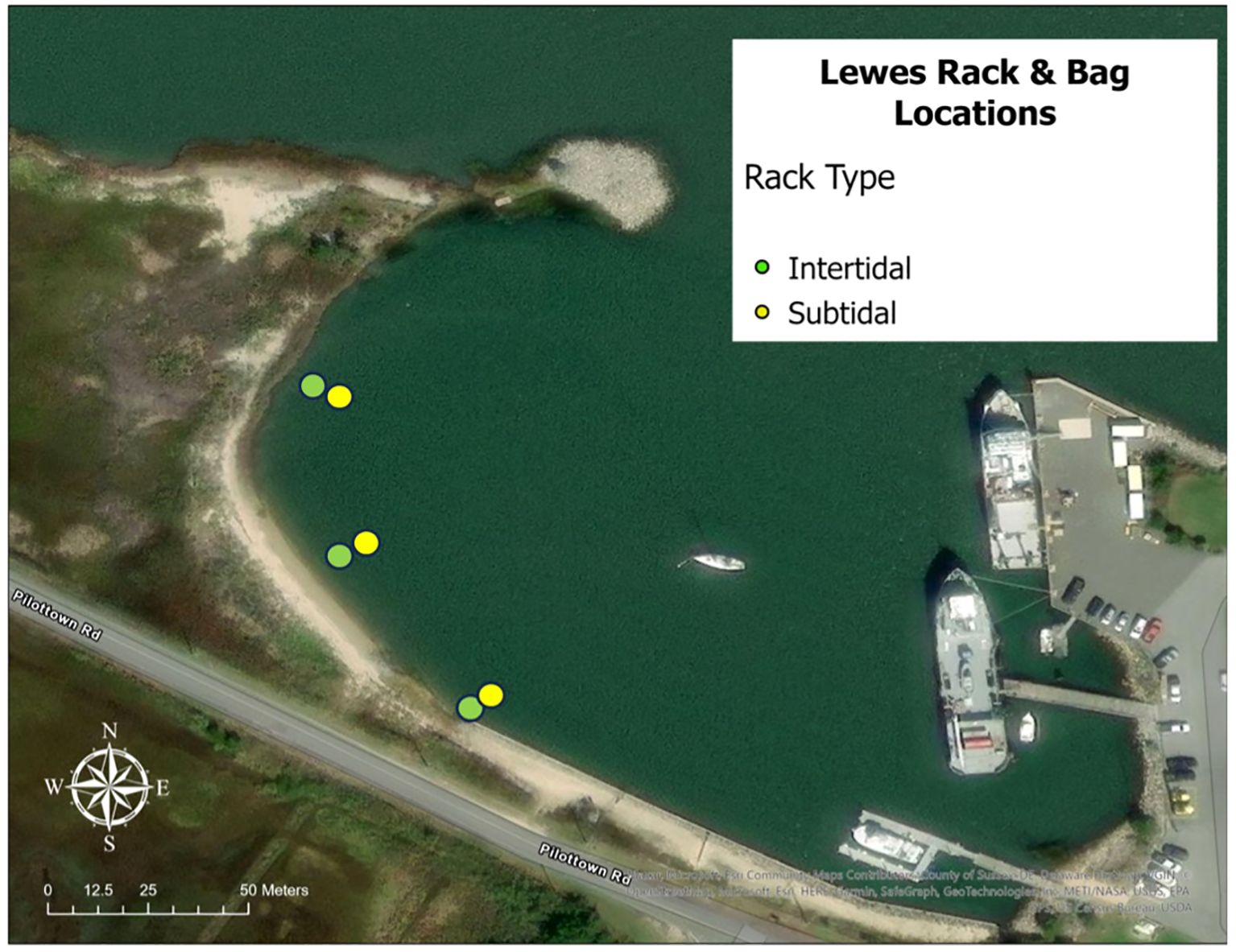 Aerial map showing Lewes Rack and Bag locations near a waterway, close to Pilottown Road. Yellow dots indicate intertidal racks and green dots show subtidal racks. A compass and scale are visible.