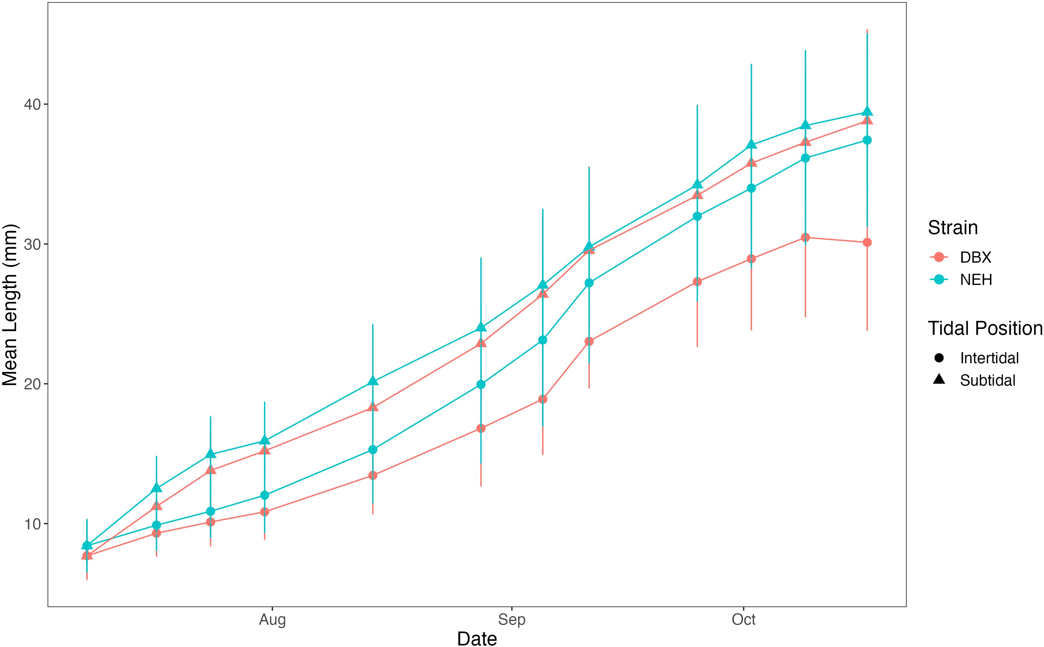 Line graph showing mean length in millimeters against date from August to October. Two strains, DBX and NEH, are depicted with different tidal positions: intertidal (circles) and subtidal (triangles). Both strains increase in mean length over time, with NEH consistently larger than DBX. Error bars indicate variability.