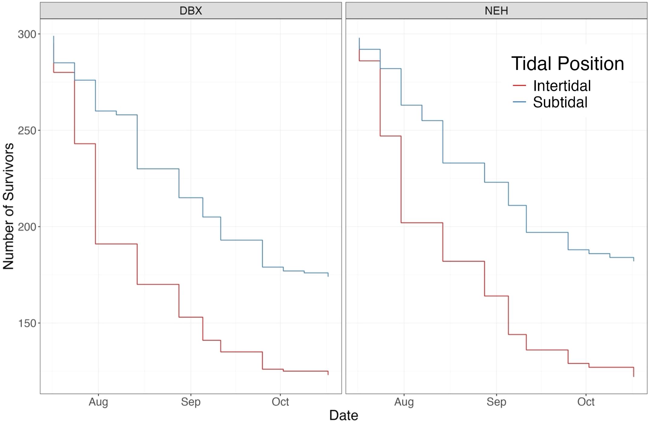Two survival plots compare the number of survivors from August to October under different tidal positions, labeled DBX and NEH. The red line represents intertidal conditions, and the blue line represents subtidal conditions for both plots. Both show a decrease in survivors over time, with differences between tidal positions.