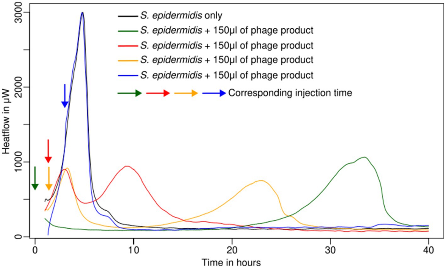 Line graph showing heatflow in microwatts over time in hours. It compares five conditions of *S. epidermidis*: alone (black) and with 150 μl of phage product (green, red, yellow, blue). Arrows indicate injection times. Initial peaks occur at different times and intensities, with *S. epidermidis* alone peaking highest initially, followed by varying lower peaks for samples with phage product.