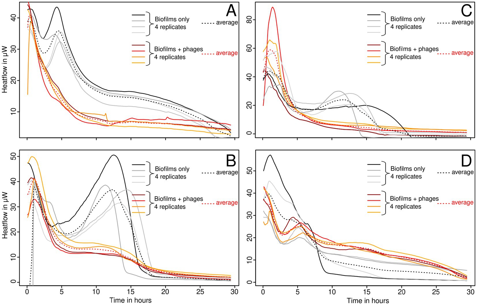 Graphs labeled A, B, C, and D show heat flow changes in microwatts over time in hours for biofilms with and without phages. Each graph includes curves for four replicates and their averages. Biofilm data is in black and gray, and biofilm with phages is in red and orange.