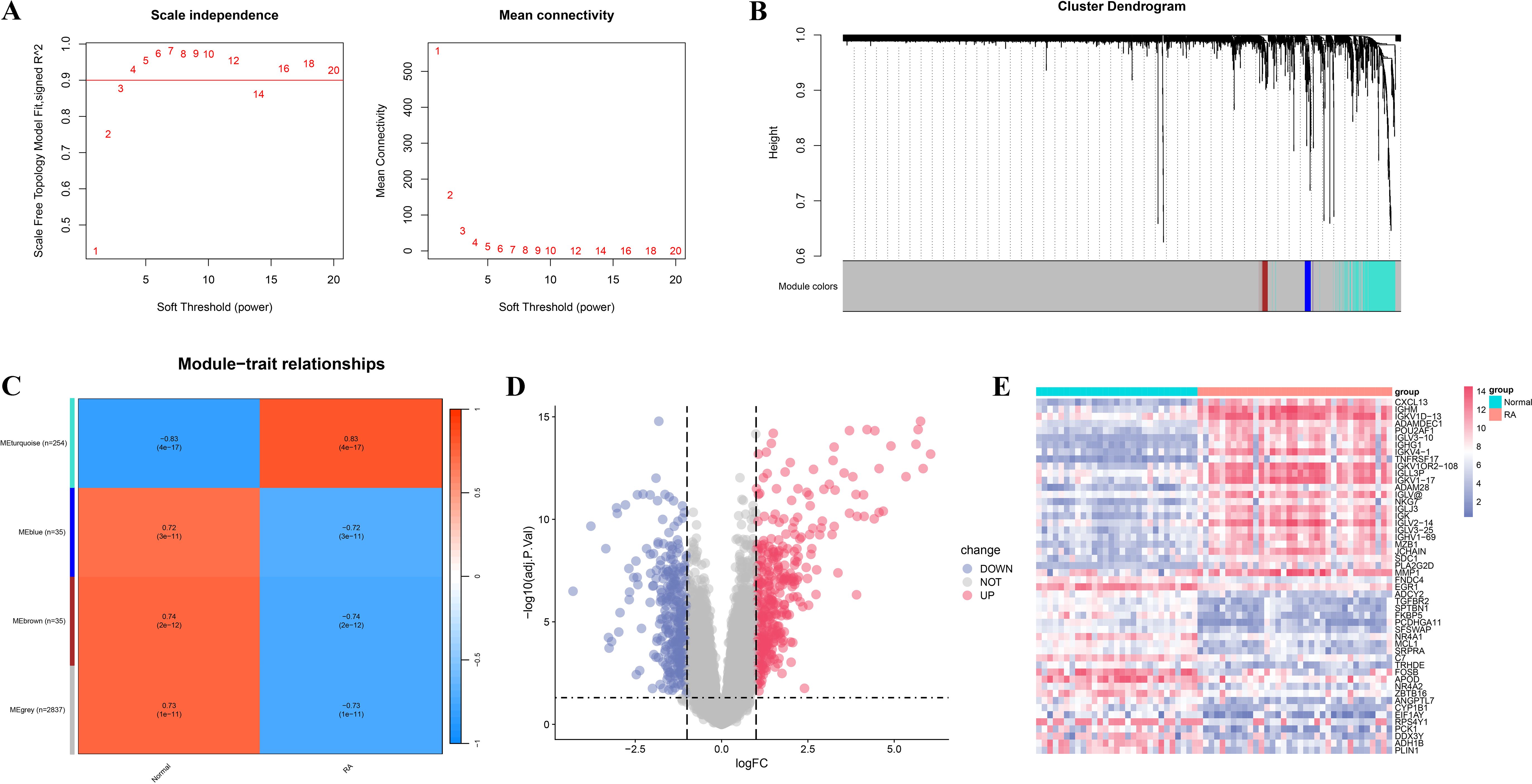 A set of images showcasing data analysis results: A) Two line graphs for scale independence and mean connectivity versus soft threshold power. B) Cluster dendrogram with module colors. C) Heatmap of module-trait relationships with color-coded values. D) Volcano plot illustrating gene expression changes with blue, grey, and pink data points. E) Heatmap showing expression levels of genes across normal and RA groups in varying colors.