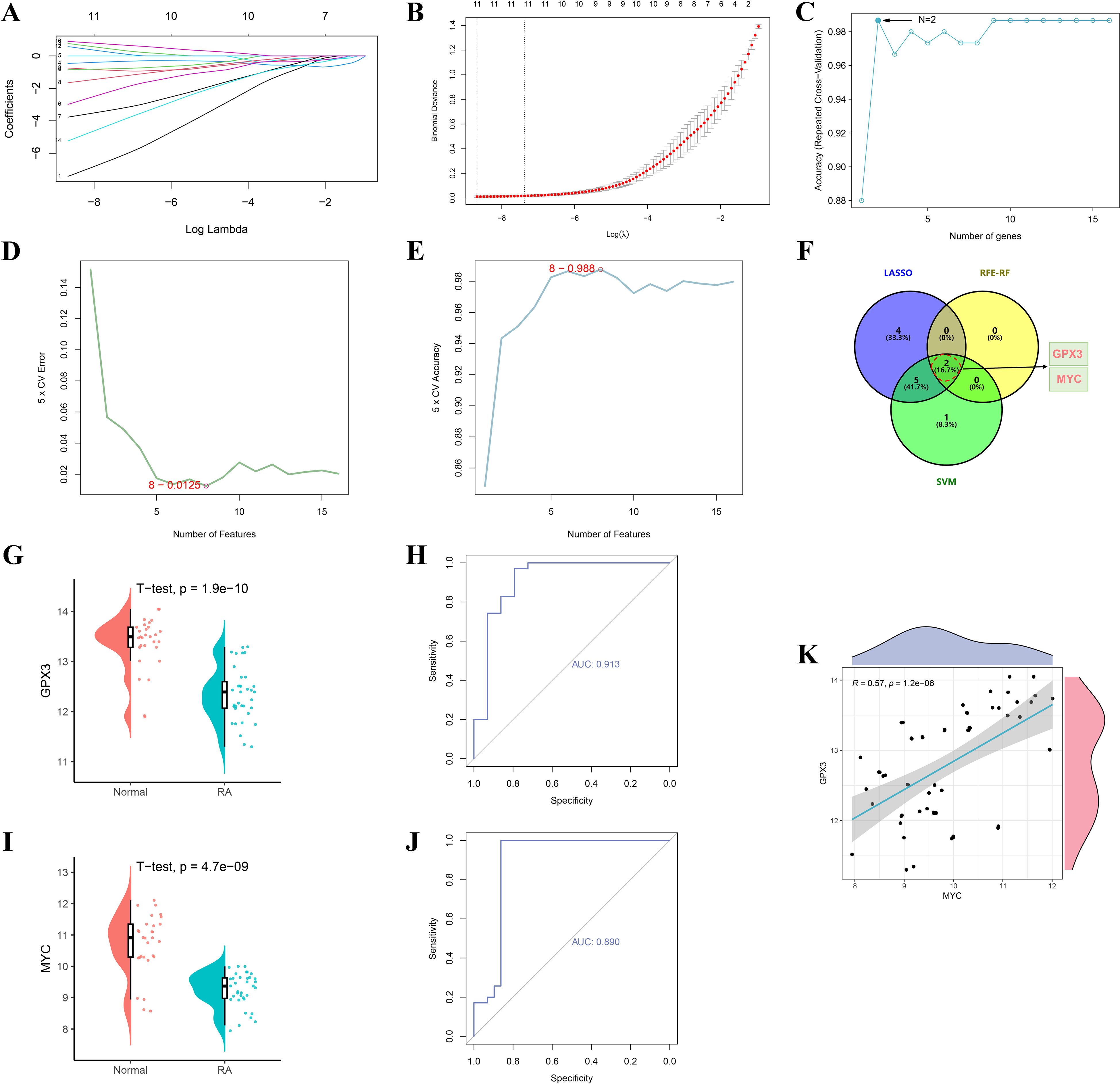 A composite image displays various graphs and charts related to feature selection and statistical analysis. Panel A shows a coefficient plot against Log Lambda. Panel B presents a binomial deviance plot versus Log Lambda. Panel C shows accuracy and error over a number of genes. Panel D displays cross-validation error with features. Panel E depicts cross-validation accuracy with features. Panel F is a Venn diagram comparing LASSO, REF-RF, and SVM, highlighting GPX3 and MYC. Panel G shows a violin plot comparing GPX3 expression in normal versus RA groups. Panel H provides an ROC curve with an AUC of 0.913. Panel I shows a violin plot for MYC expression. Panel J includes another ROC curve with an AUC of 0.890. Panel K is a scatter plot of GPX3 against MYC, showing a correlation with R=0.57.
