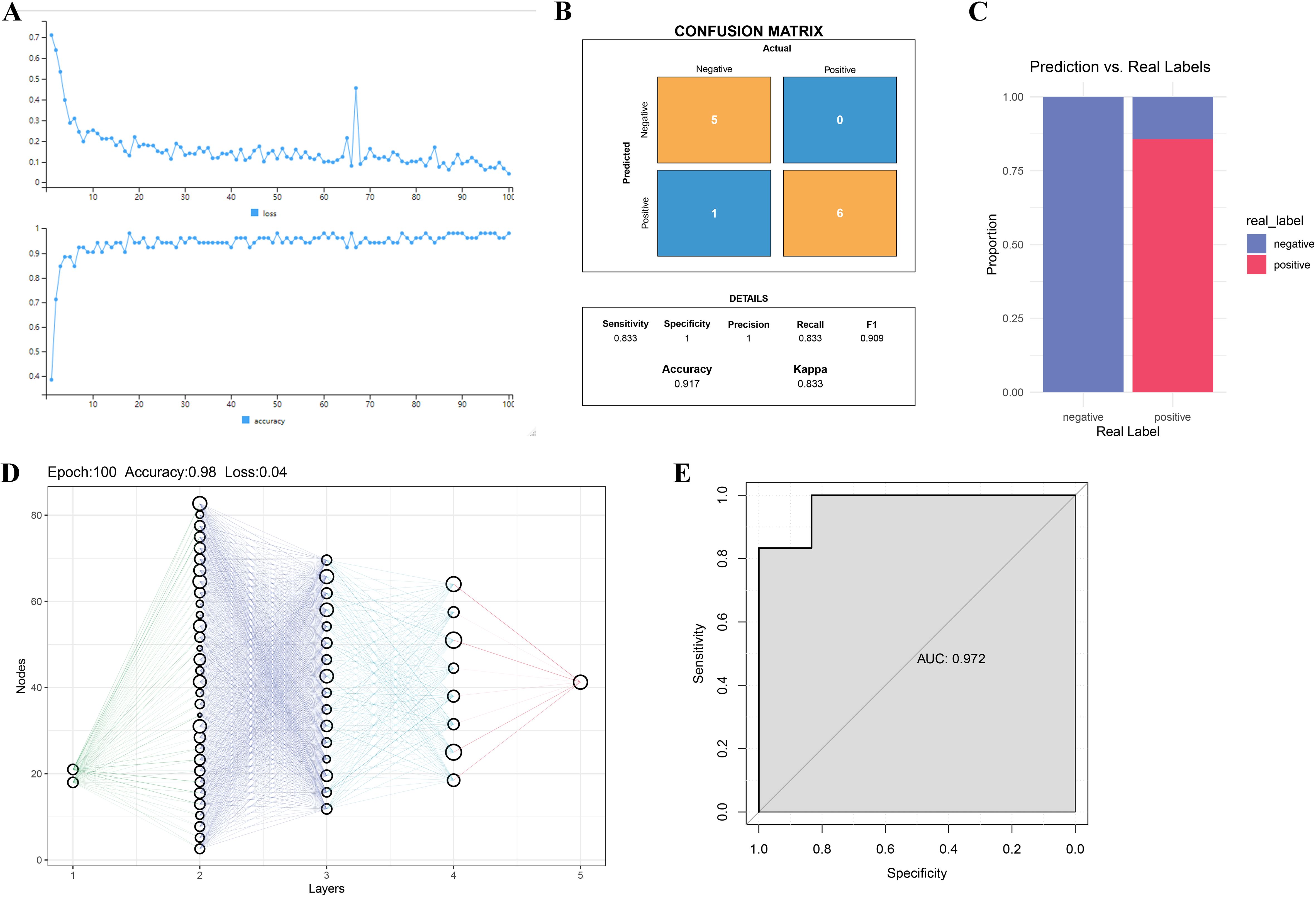 A set of five data visualizations: A) Line graphs showing the loss and accuracy trends across 100 epochs. B) A confusion matrix with performance details including an accuracy of 0.917. C) Bar chart comparing predicted and real labels for negative and positive classes. D) Diagram of a neural network architecture with five layers. E) ROC curve with an AUC of 0.972, indicating high model performance.