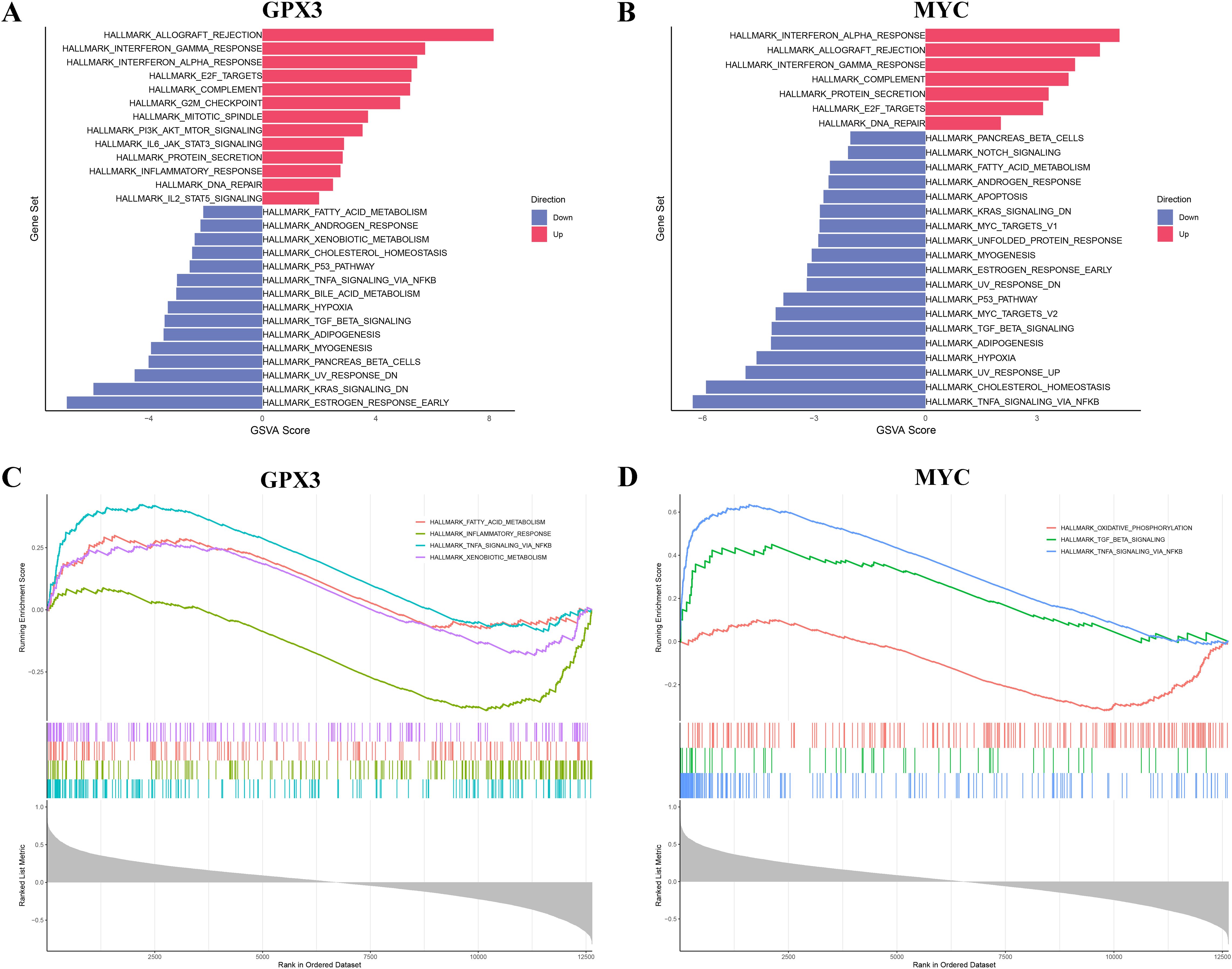 Panels A and B display bar charts illustrating gene set variation analysis (GSVA) scores for GPX3 and MYC, with directionality indicated by color. Panels C and D are enrichment plots showing ranked enrichment scores for GPX3 and MYC across three gene sets each, with corresponding ranked dataset scatter plots below.
