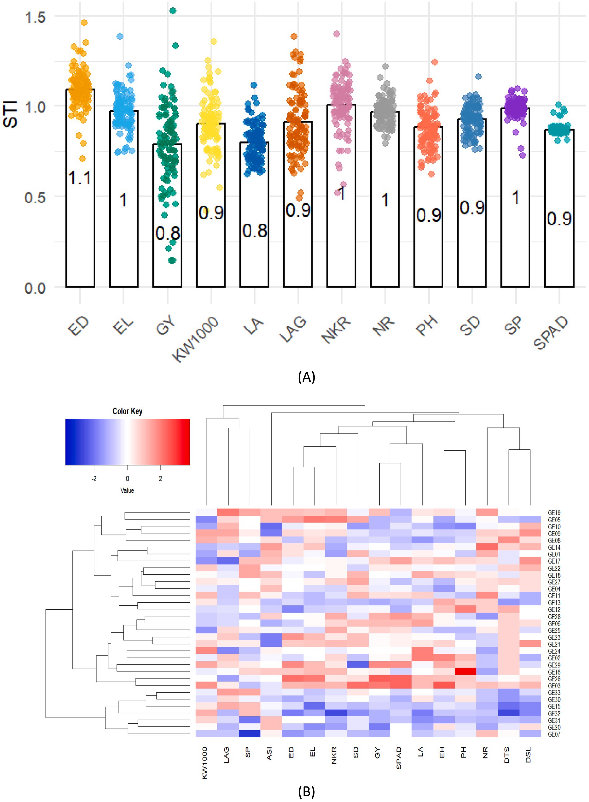 (A) A scatter plot with box plots displays STI values across different categories such as ED, EL, GY, and others with varying data point colors. Numerical values are shown above each box. (B) A heatmap illustrates a hierarchical clustering of variables, with a color gradient from blue to red indicating values from negative two to two. Both axes have labels corresponding to different data segments.