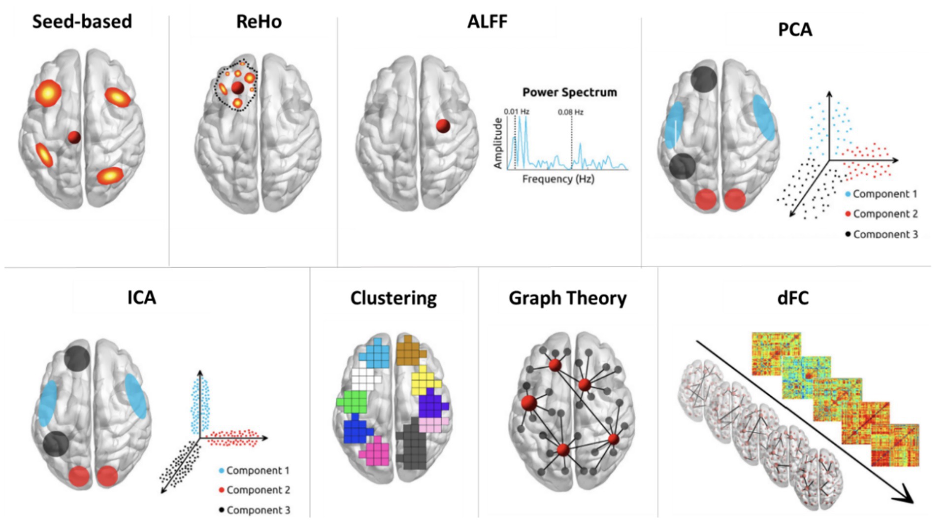 Different brain connectivity analysis methods are illustrated: Seed-based, ReHo, ALFF, PCA, ICA, Clustering, Graph Theory, and dynamic Functional Connectivity (dFC). Each method is shown on brain diagrams, with Seed-based highlighting regions, ReHo using dots, ALFF featuring a power spectrum graph, PCA using color-coded components, ICA with similar component visuals, Clustering dividing regions into colors, Graph Theory with a network of nodes, and dFC depicting connectivity changes over time.