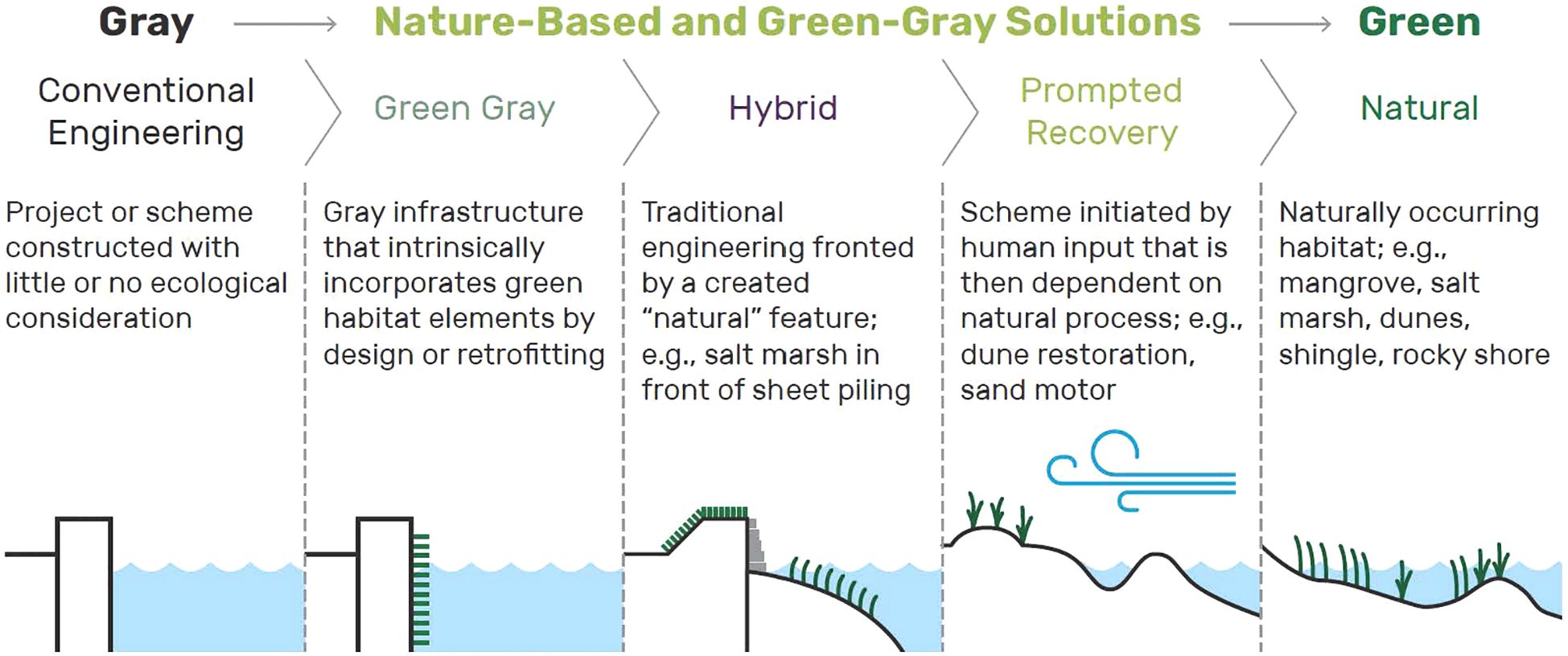 Diagram illustrating a spectrum of engineering solutions from gray to green. Categories include Gray (Conventional Engineering), Green Gray, Hybrid, Prompted Recovery, and Natural. Each section describes an approach, from gray projects with minimal ecological consideration to natural habitats like mangroves and rocky shores. Visuals include barrier designs and nature elements such as vegetation and water.